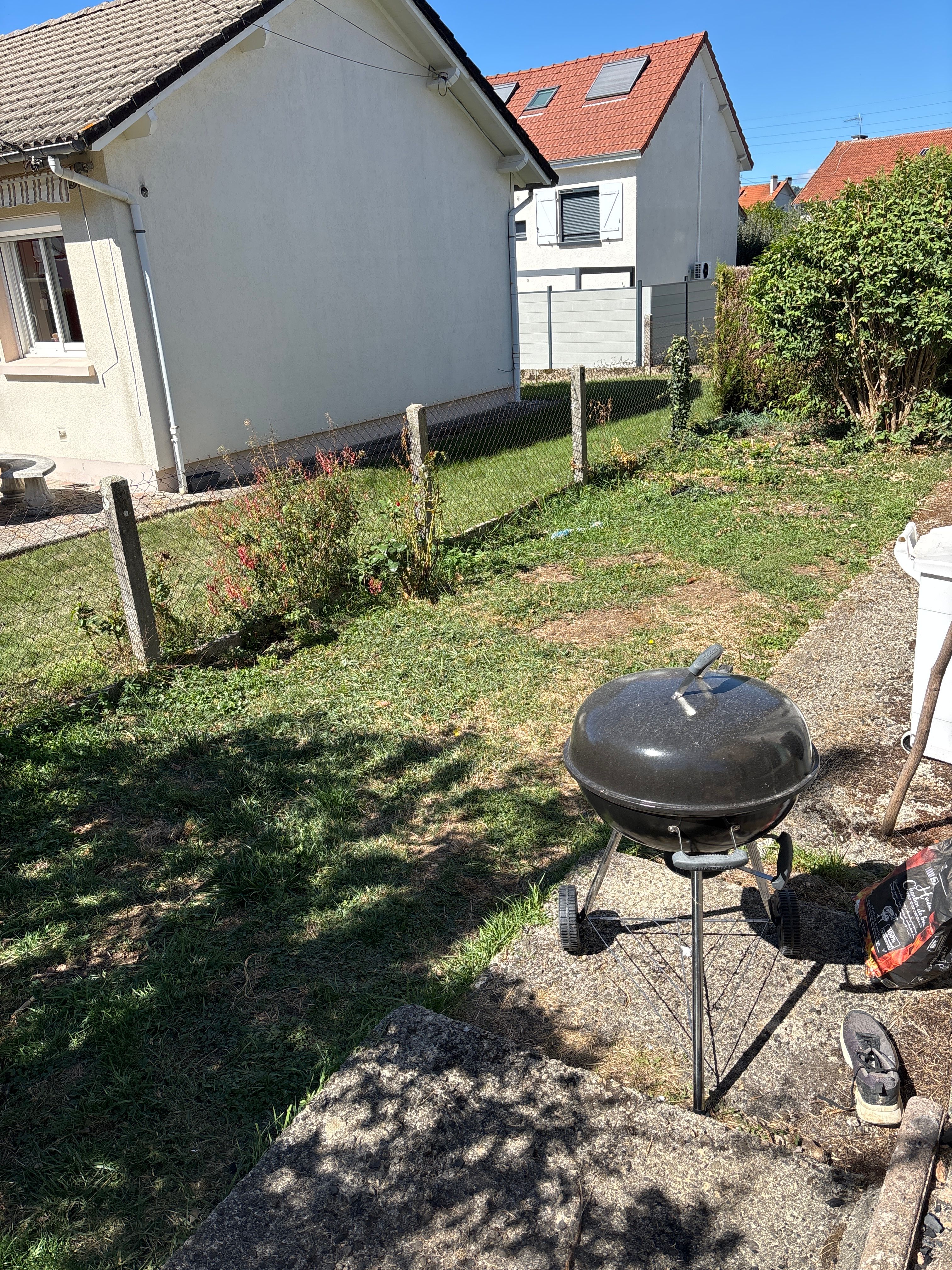 image-20