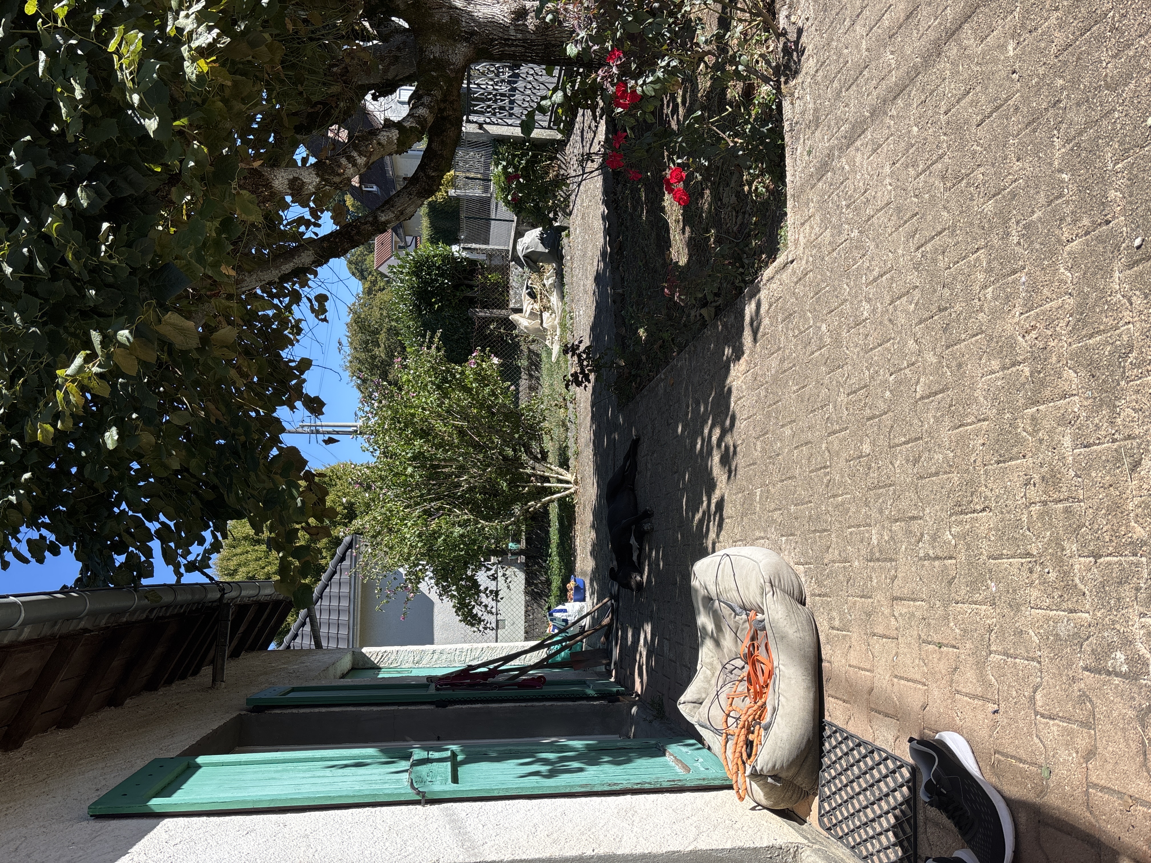 image-17