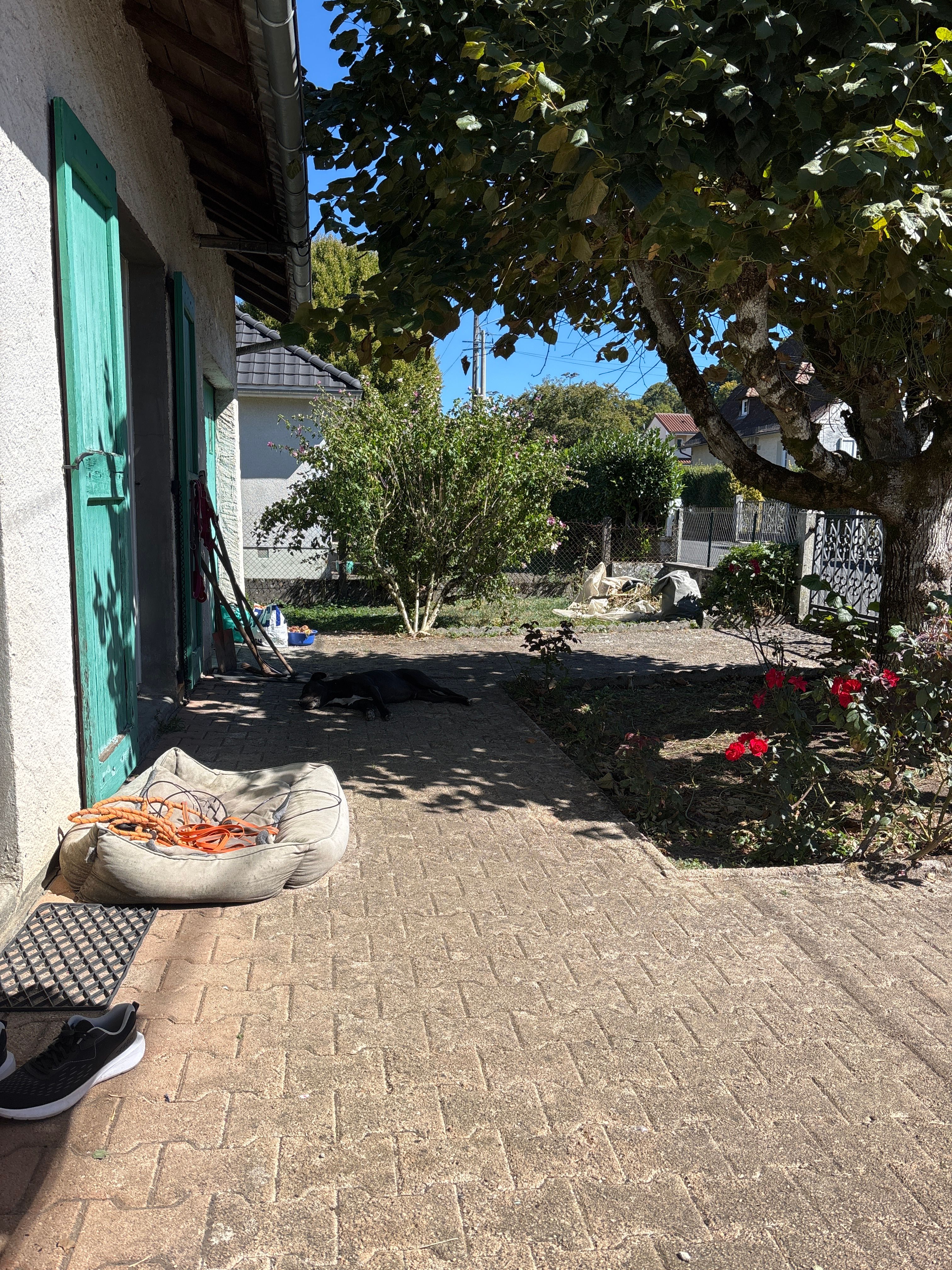 image-17