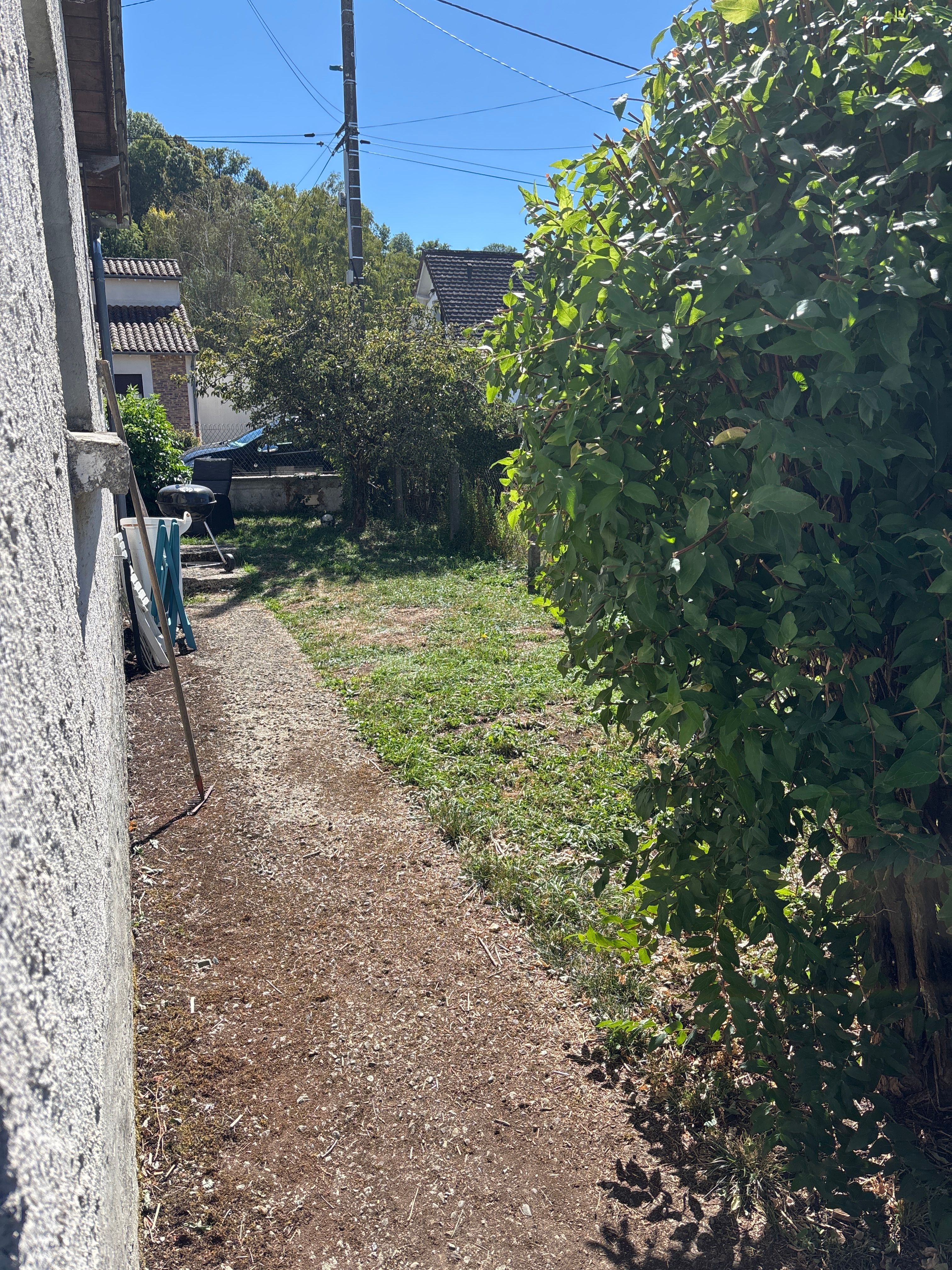 image-19