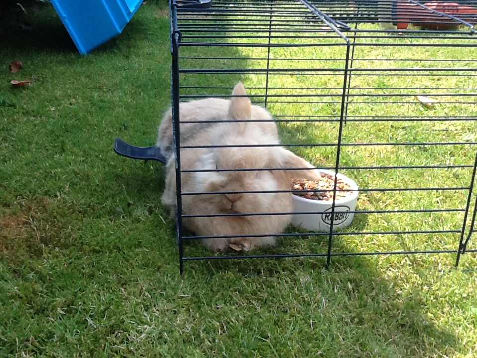 image-5