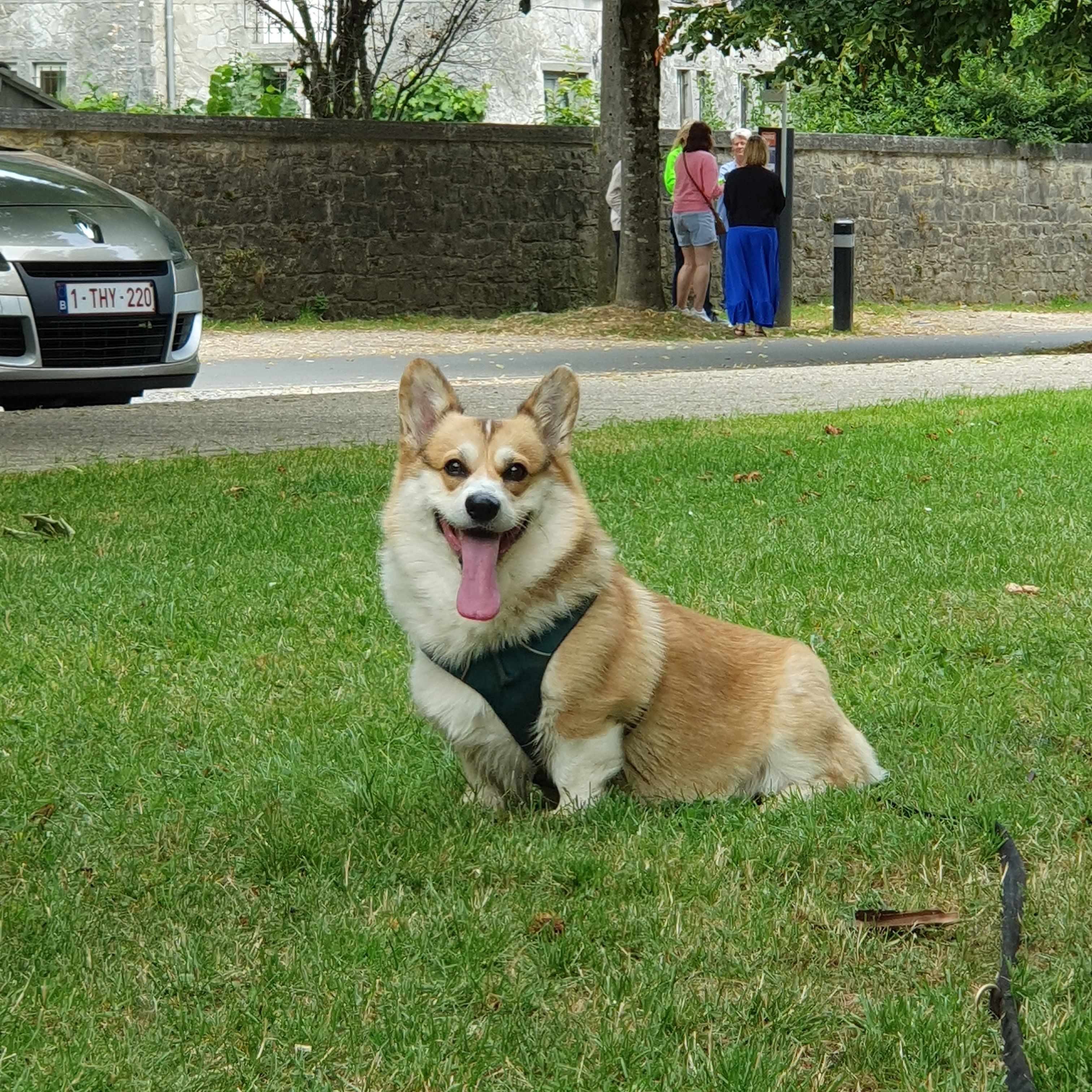 image-2