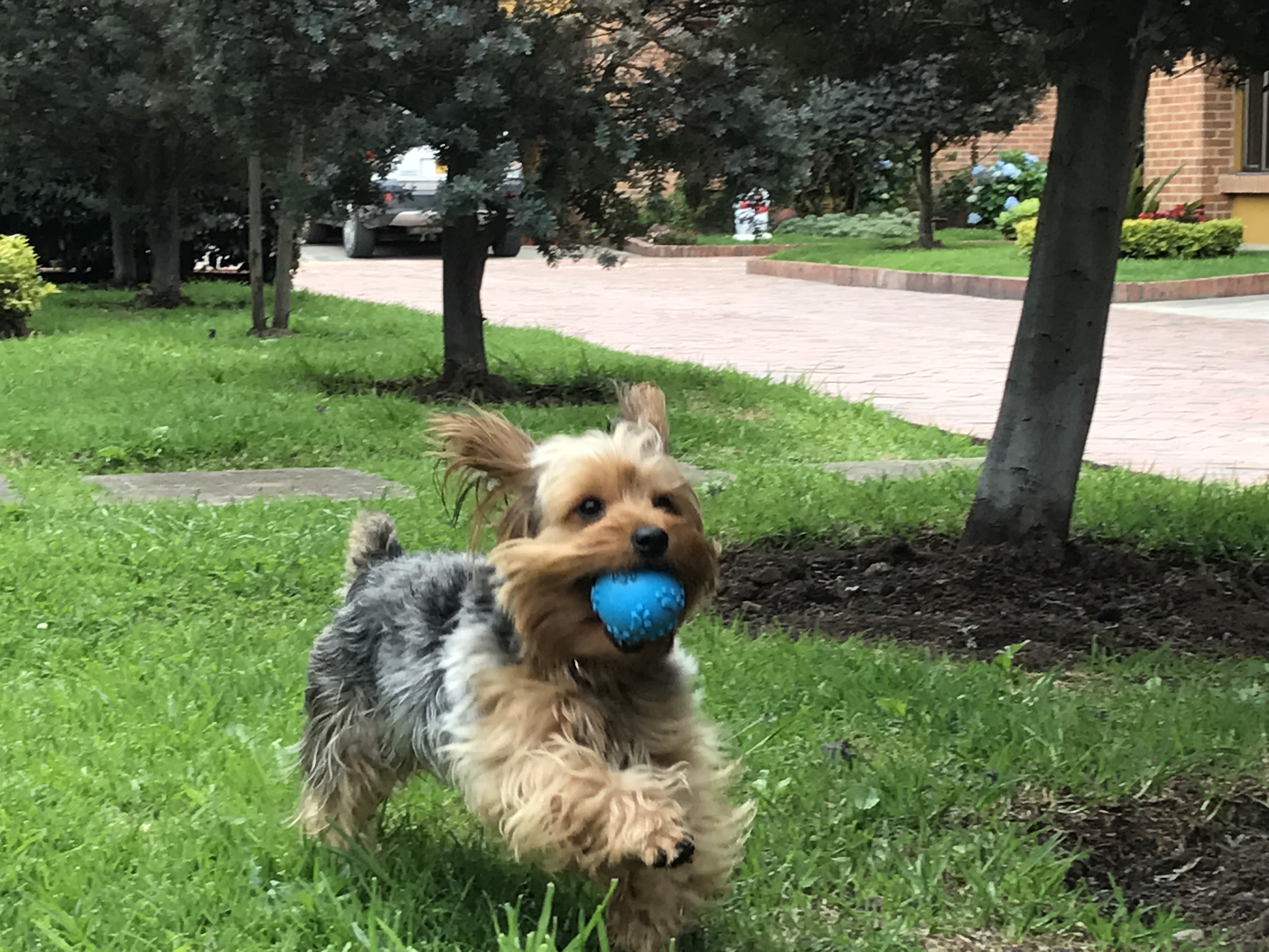 image-6