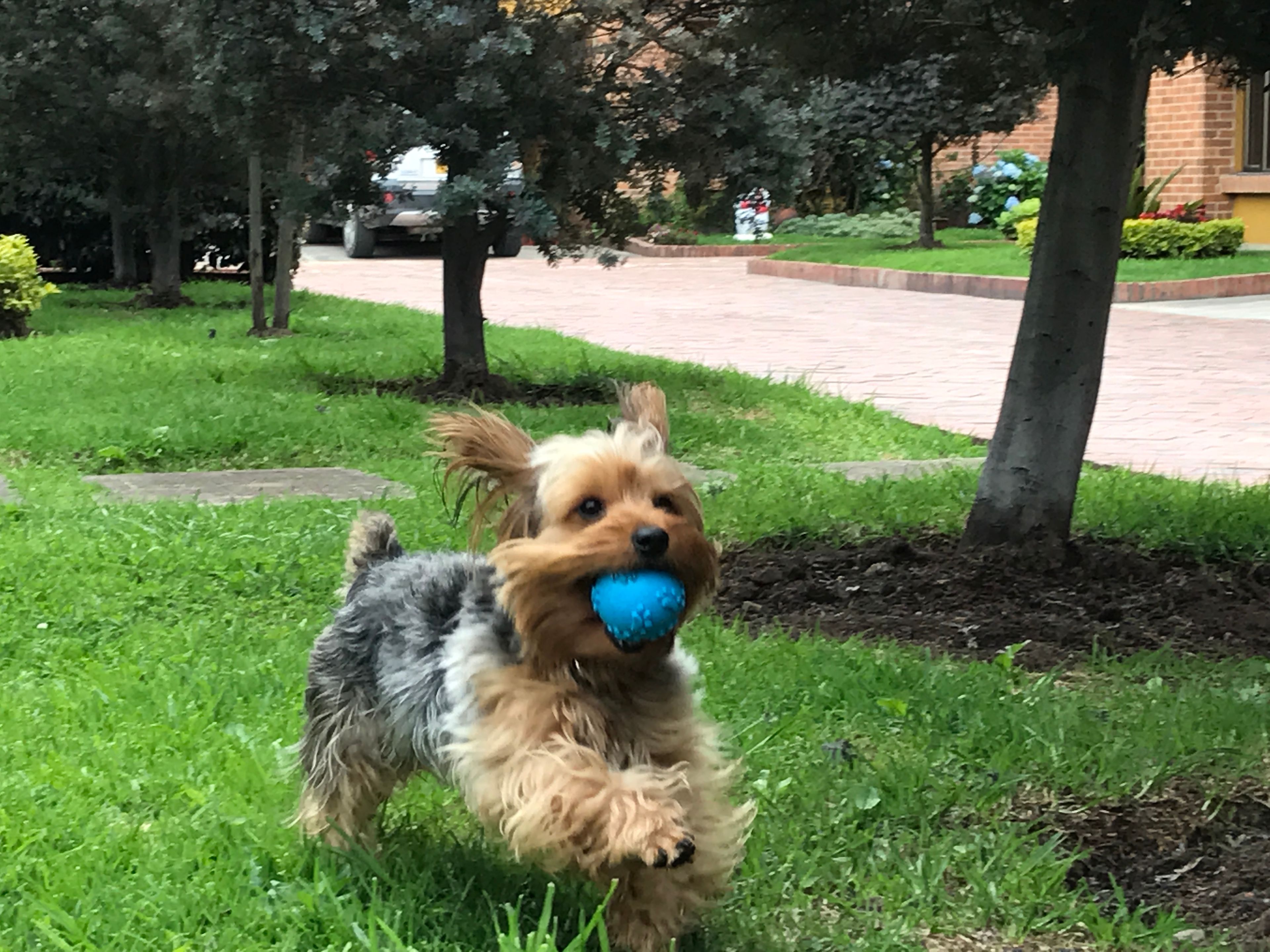 image-6