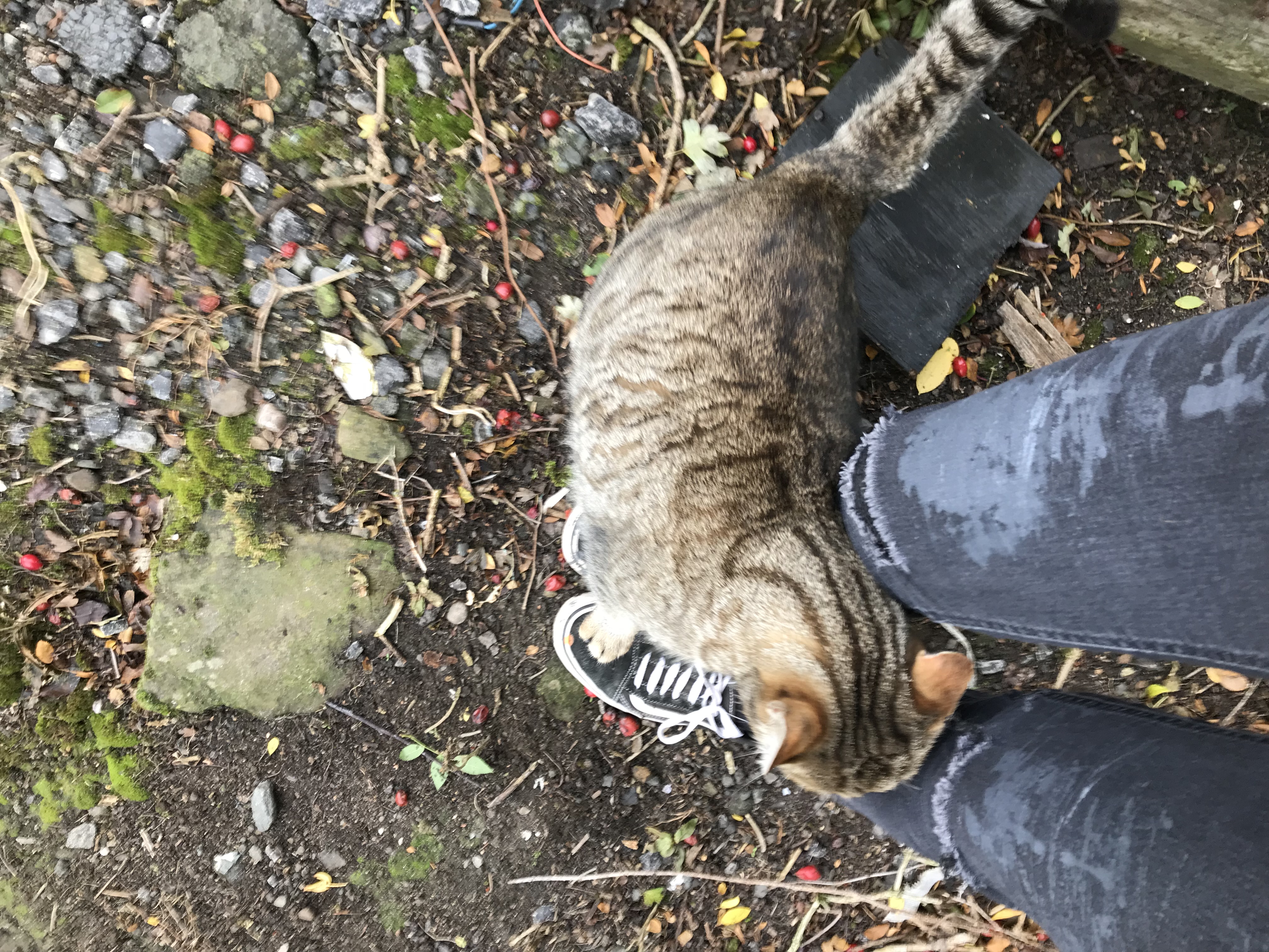 image-5
