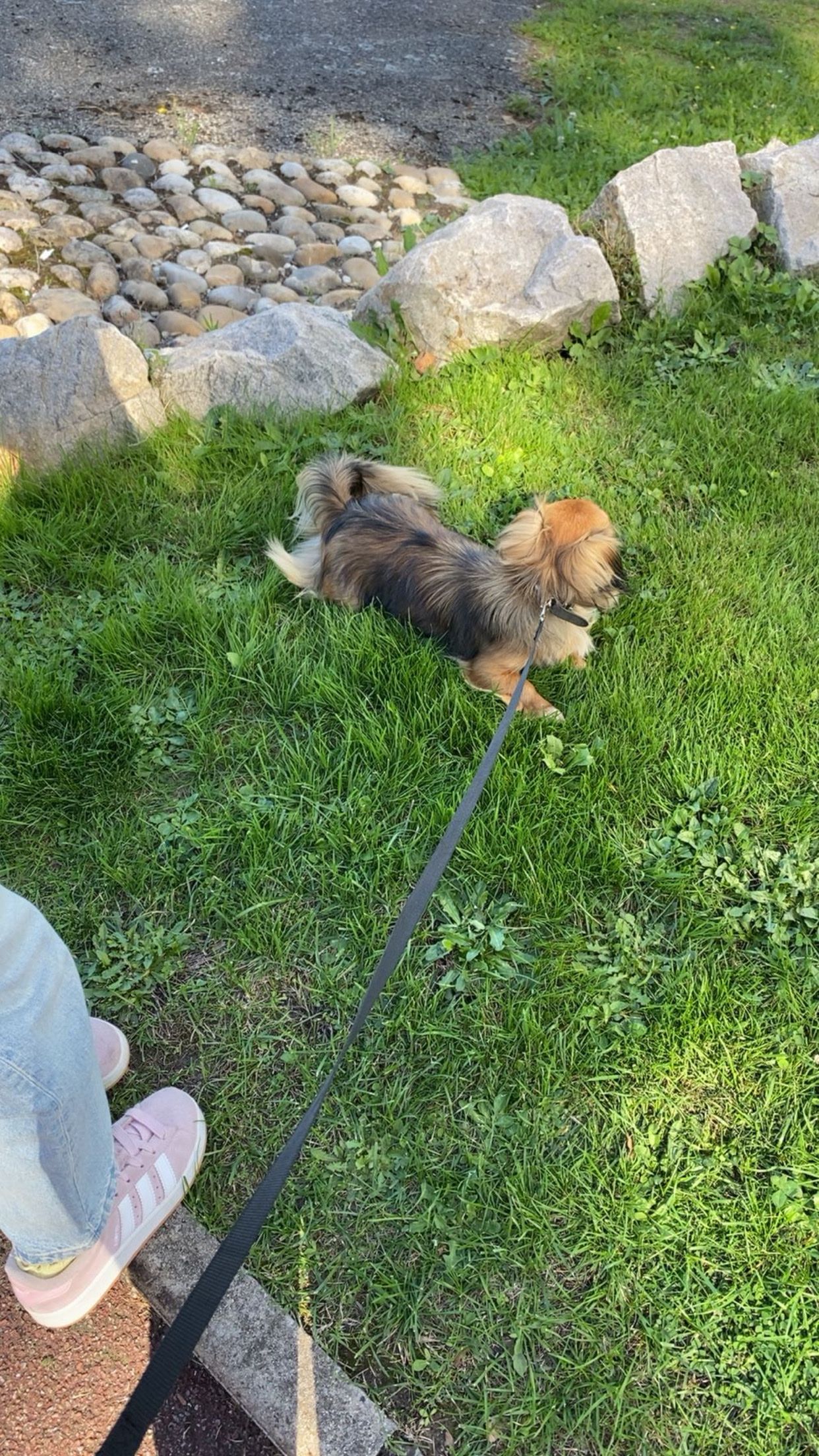 image-10