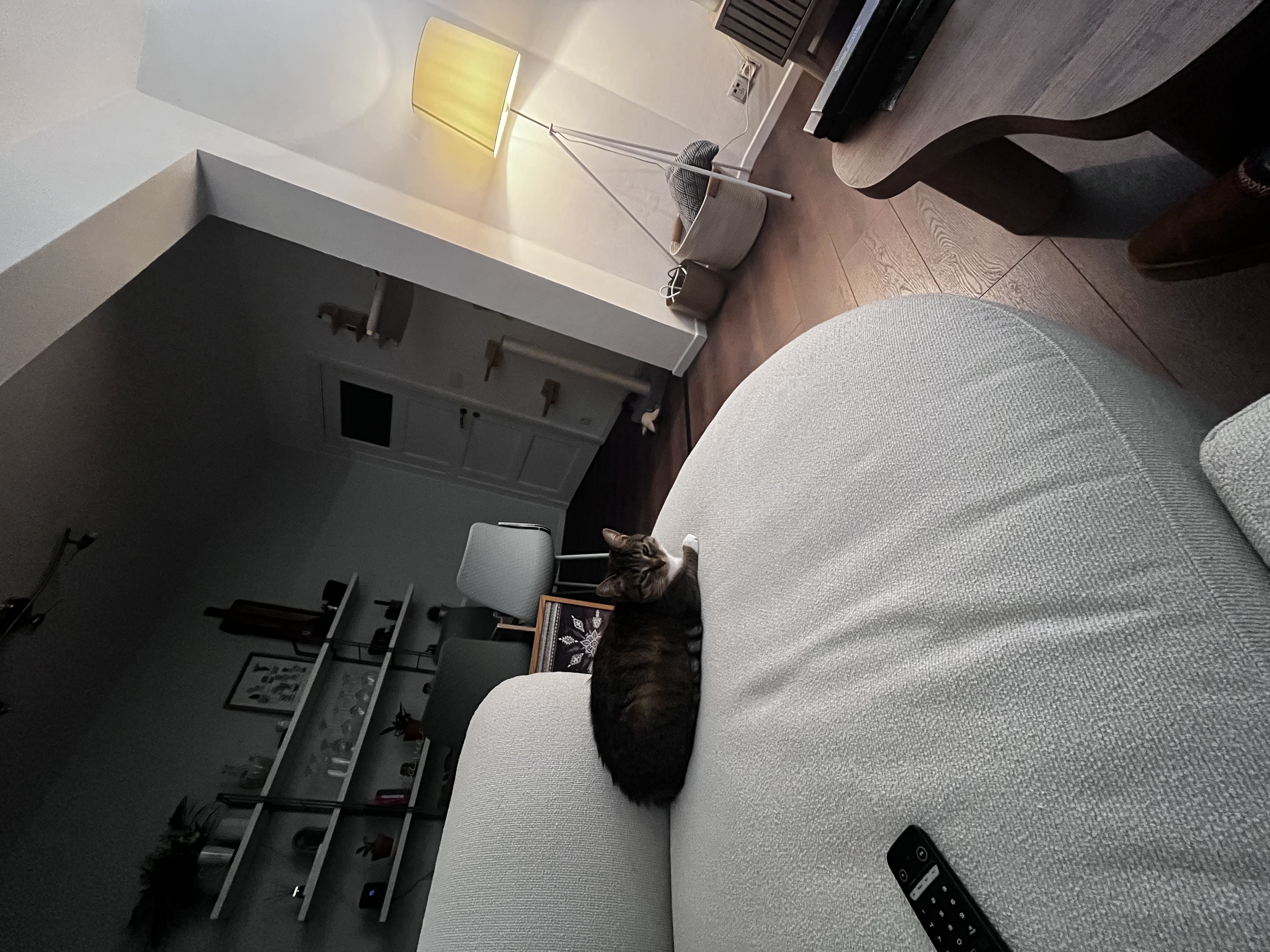 image-8