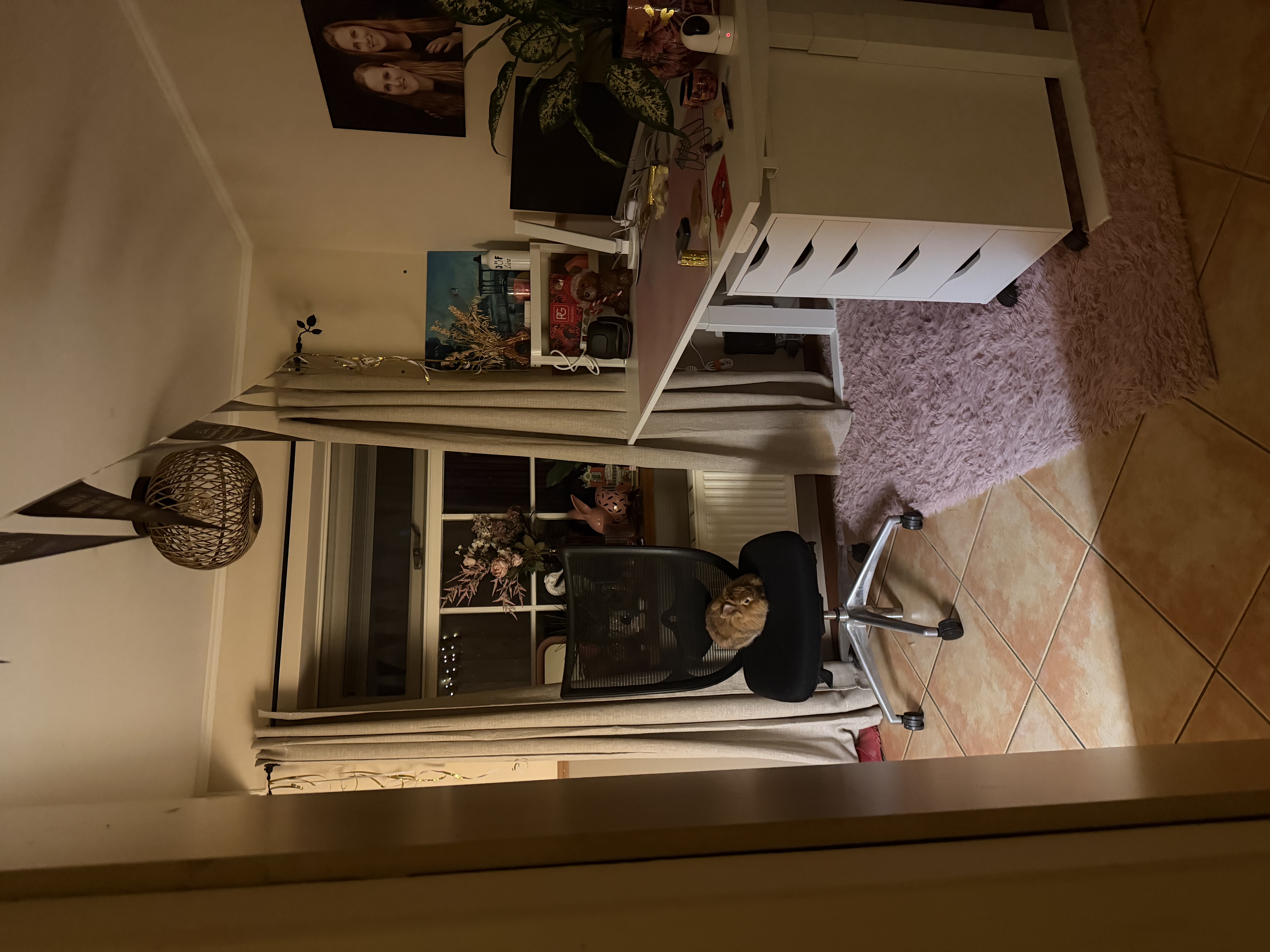 image-7