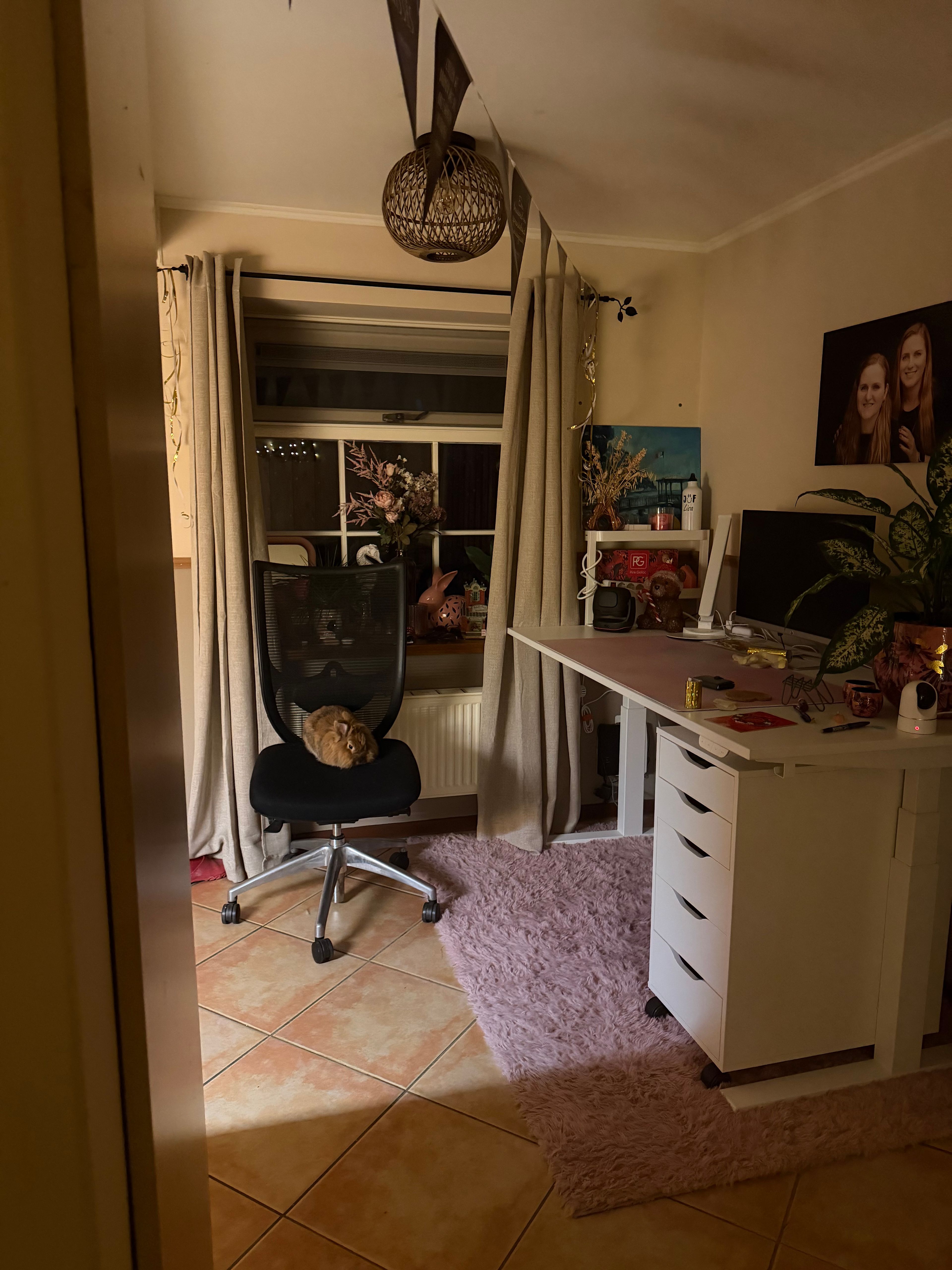 image-7