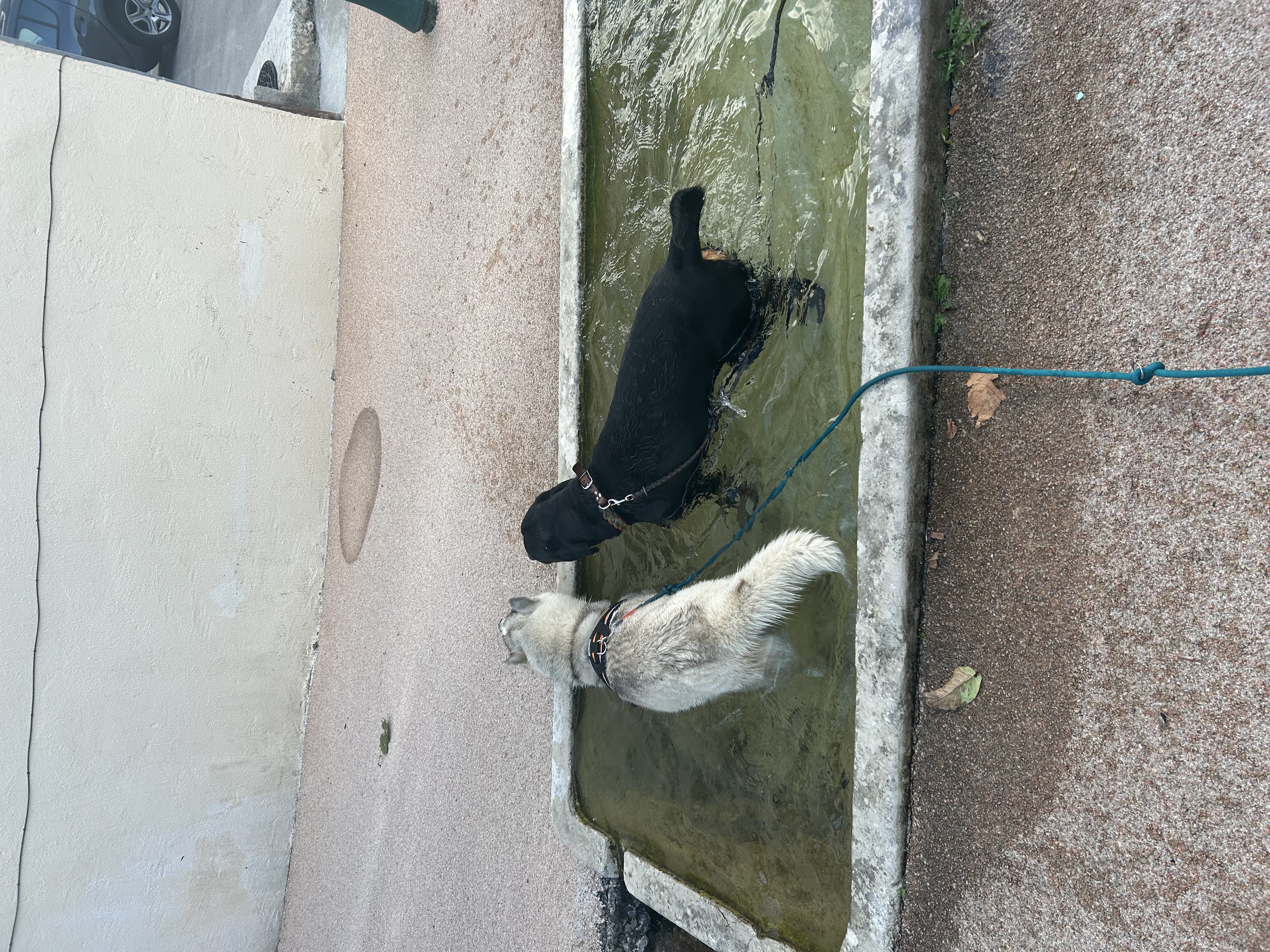 image-8