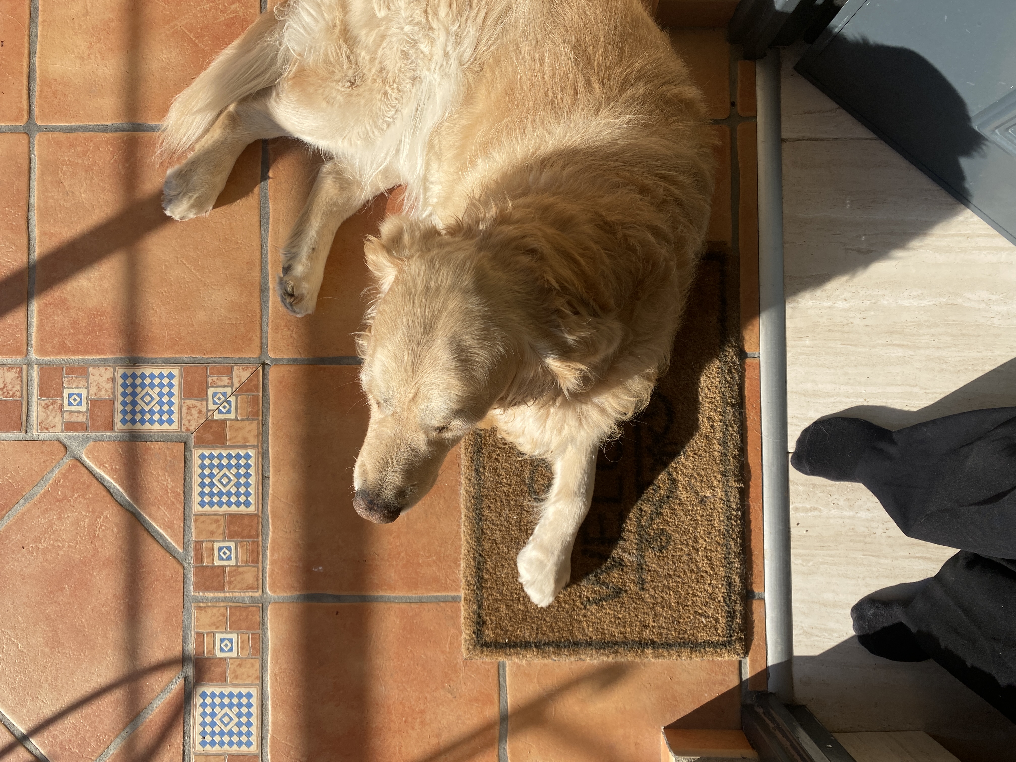 image-7