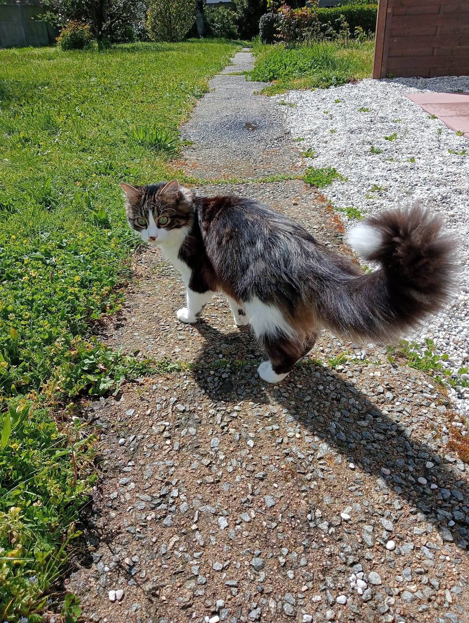 image-8