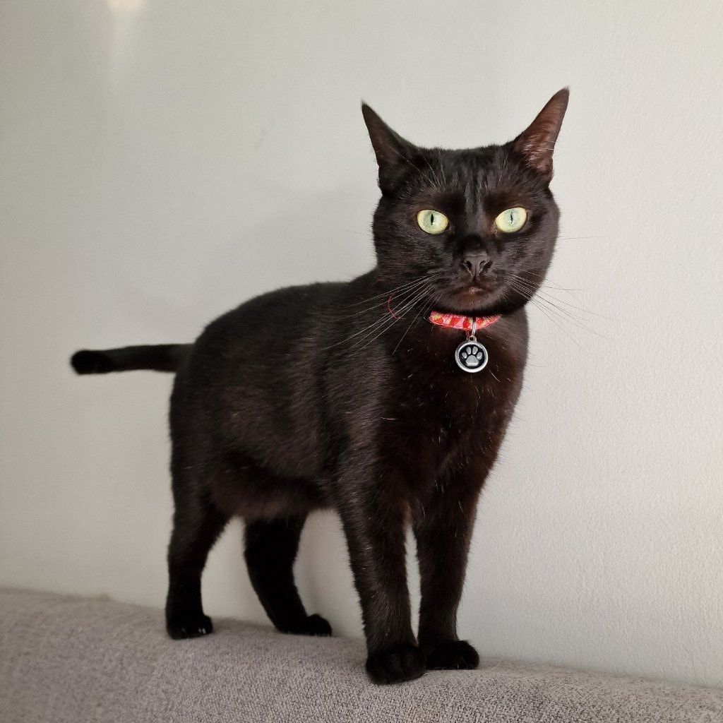 Zoë