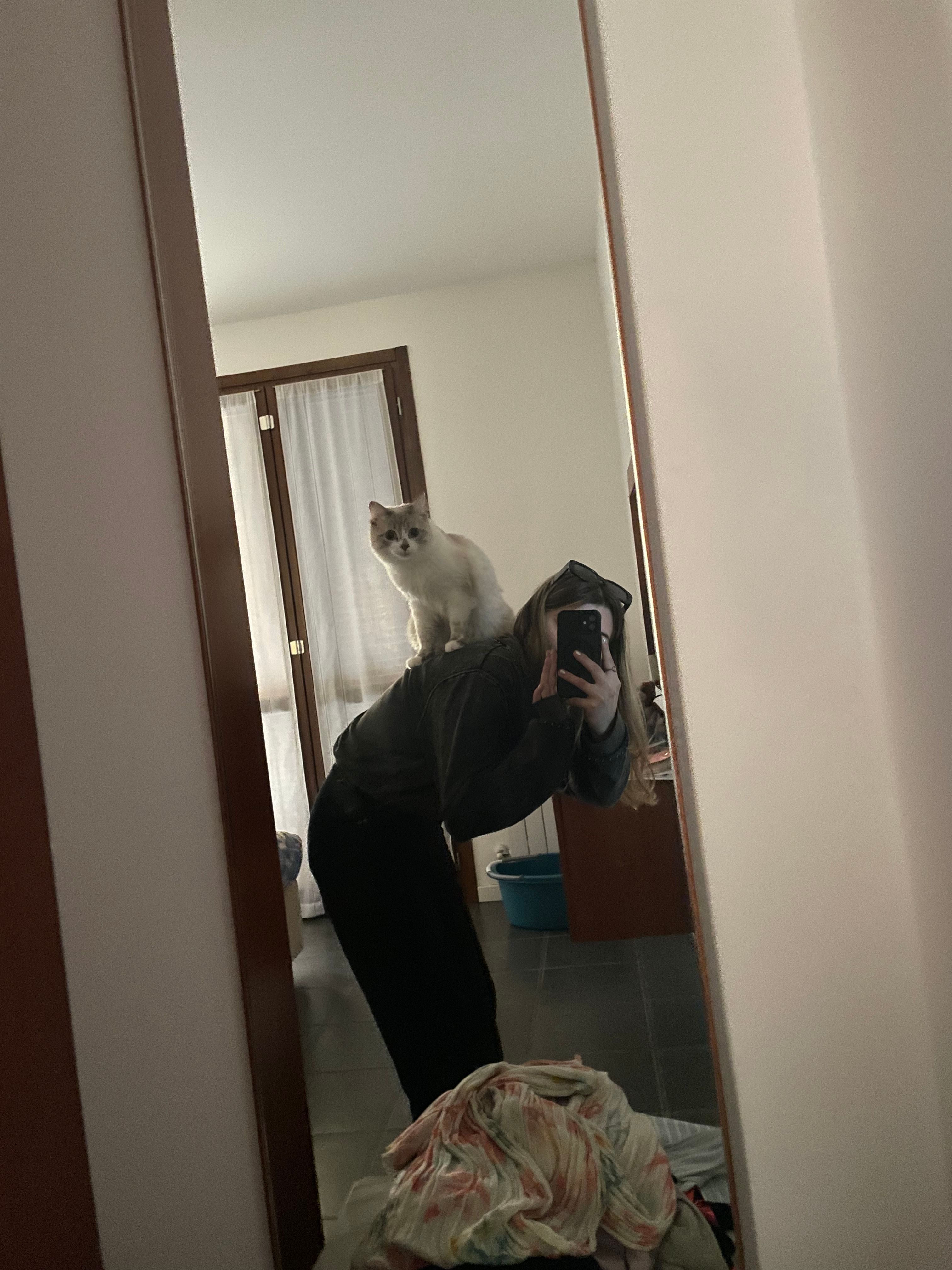 image-6