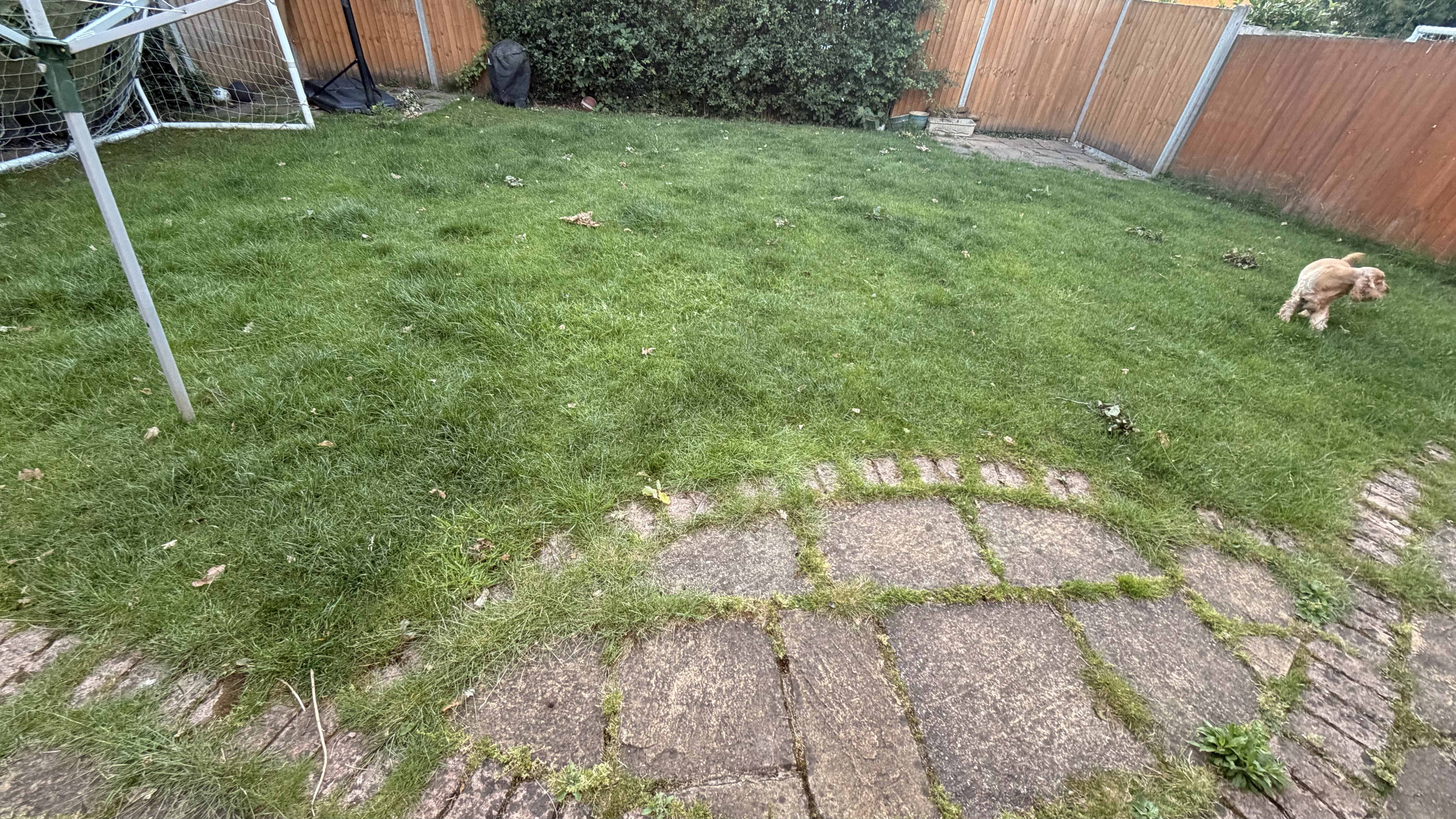 image-15