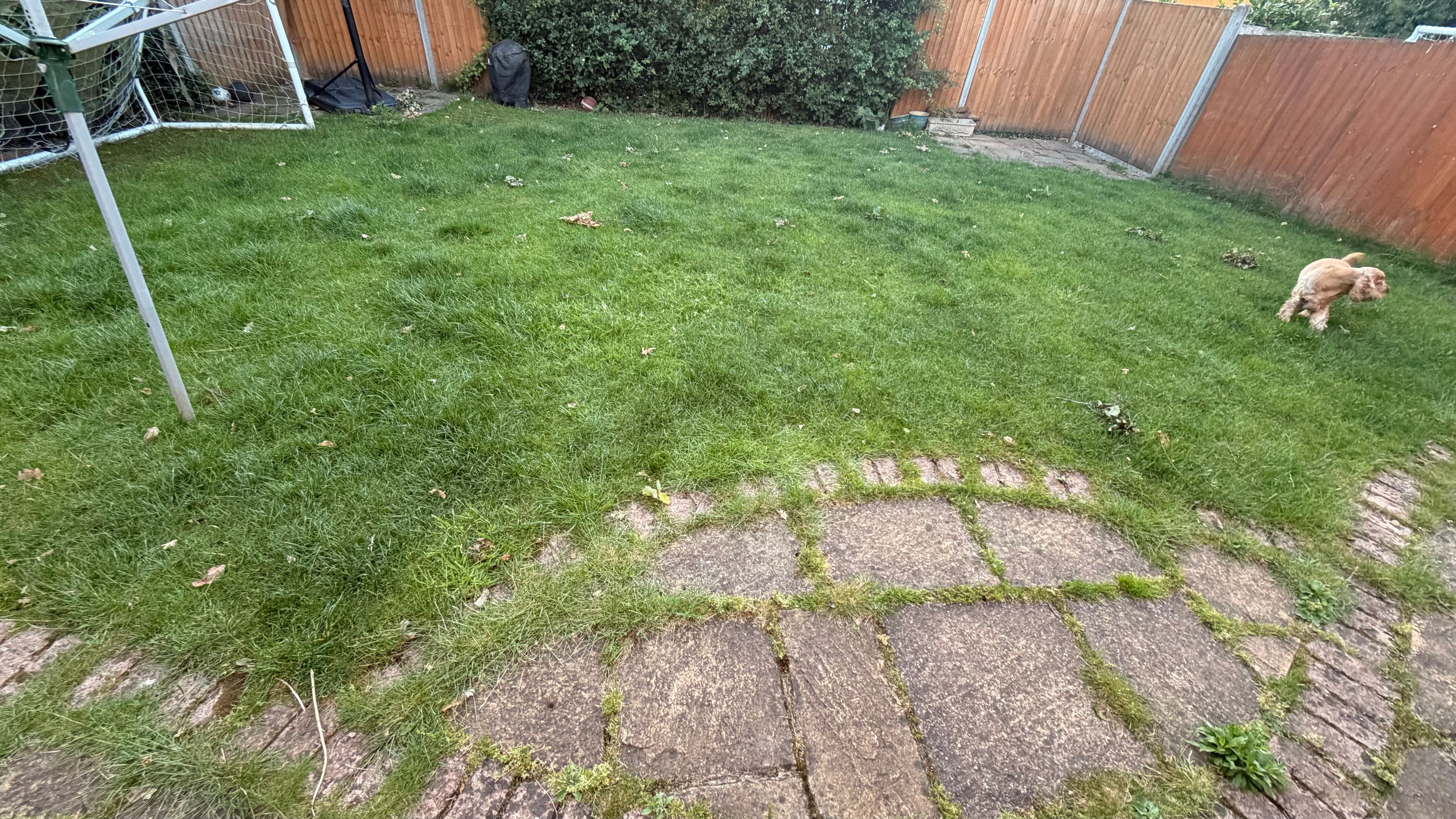 image-15
