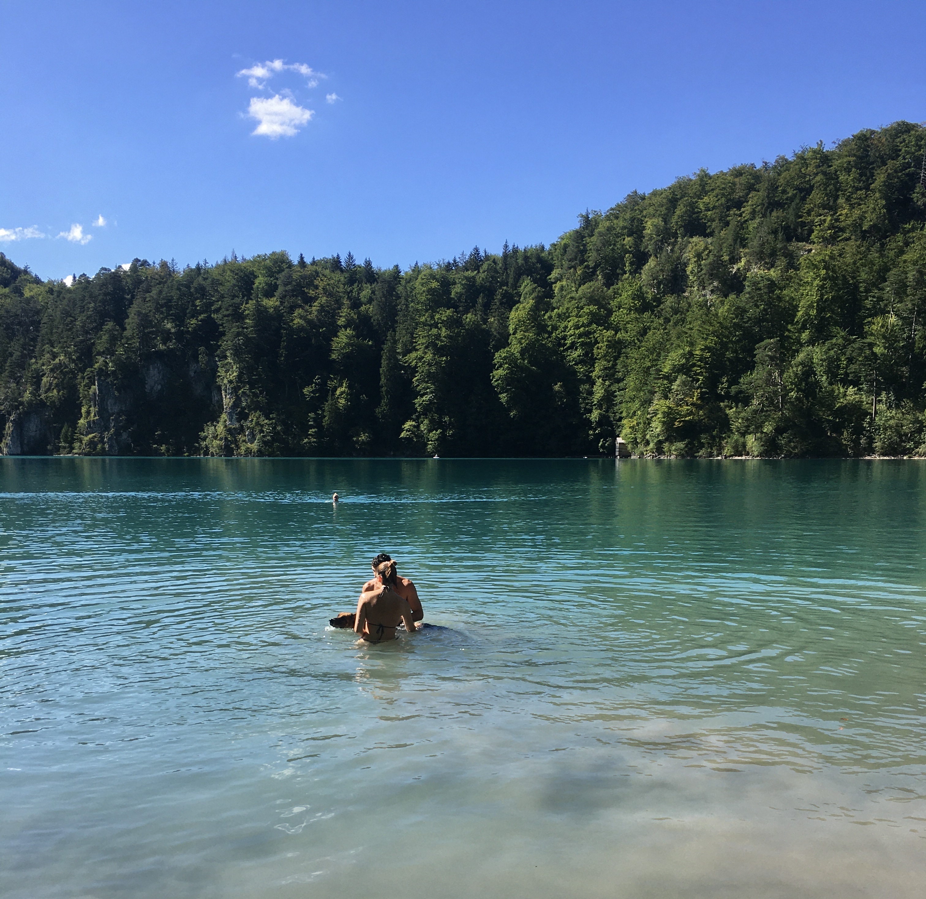 image-6
