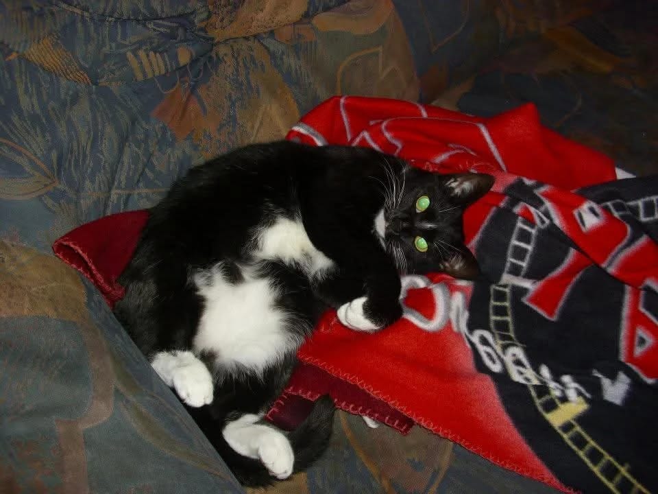 image-5