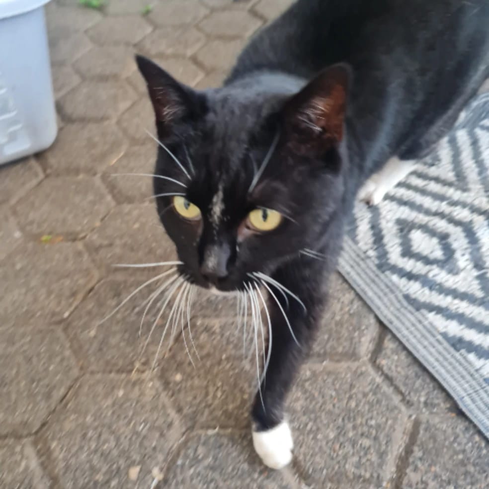 Luna