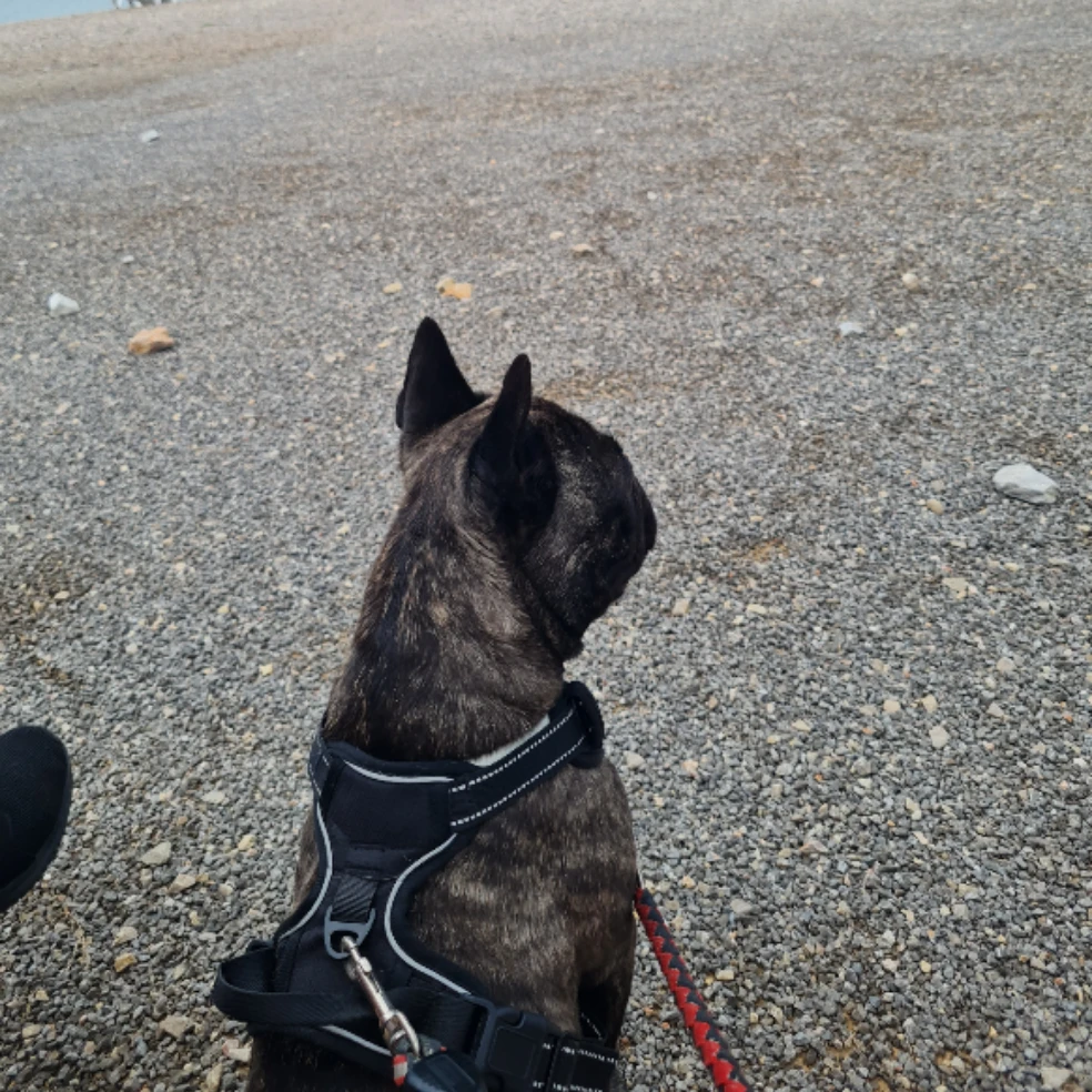 Jack