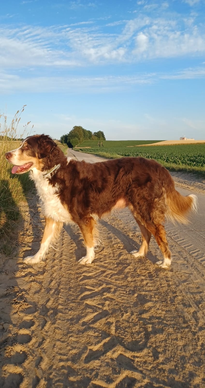 image-6