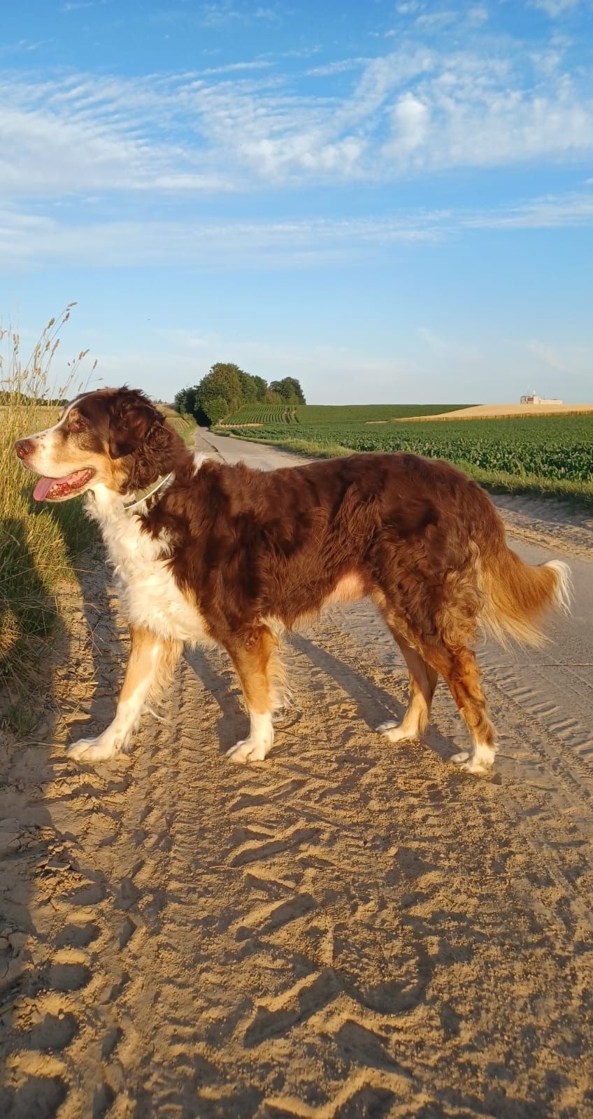 image-6