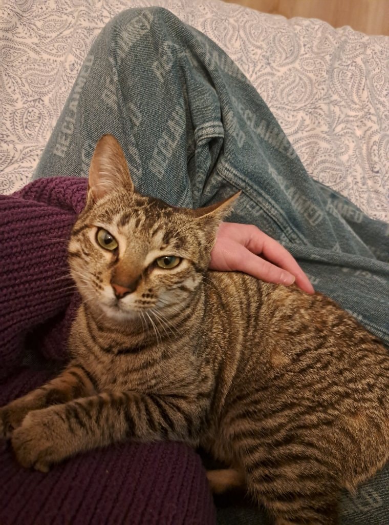 image-7