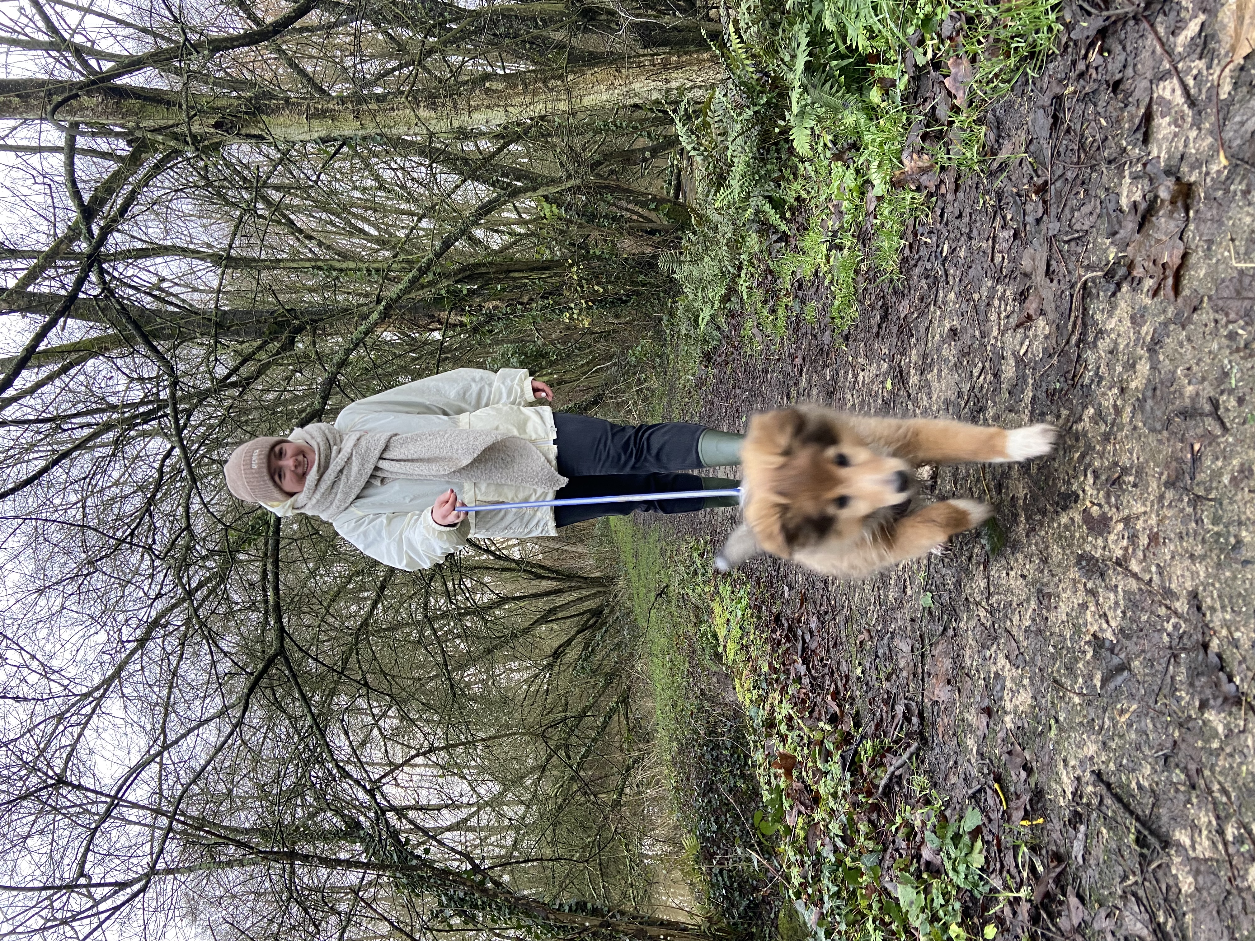 image-12