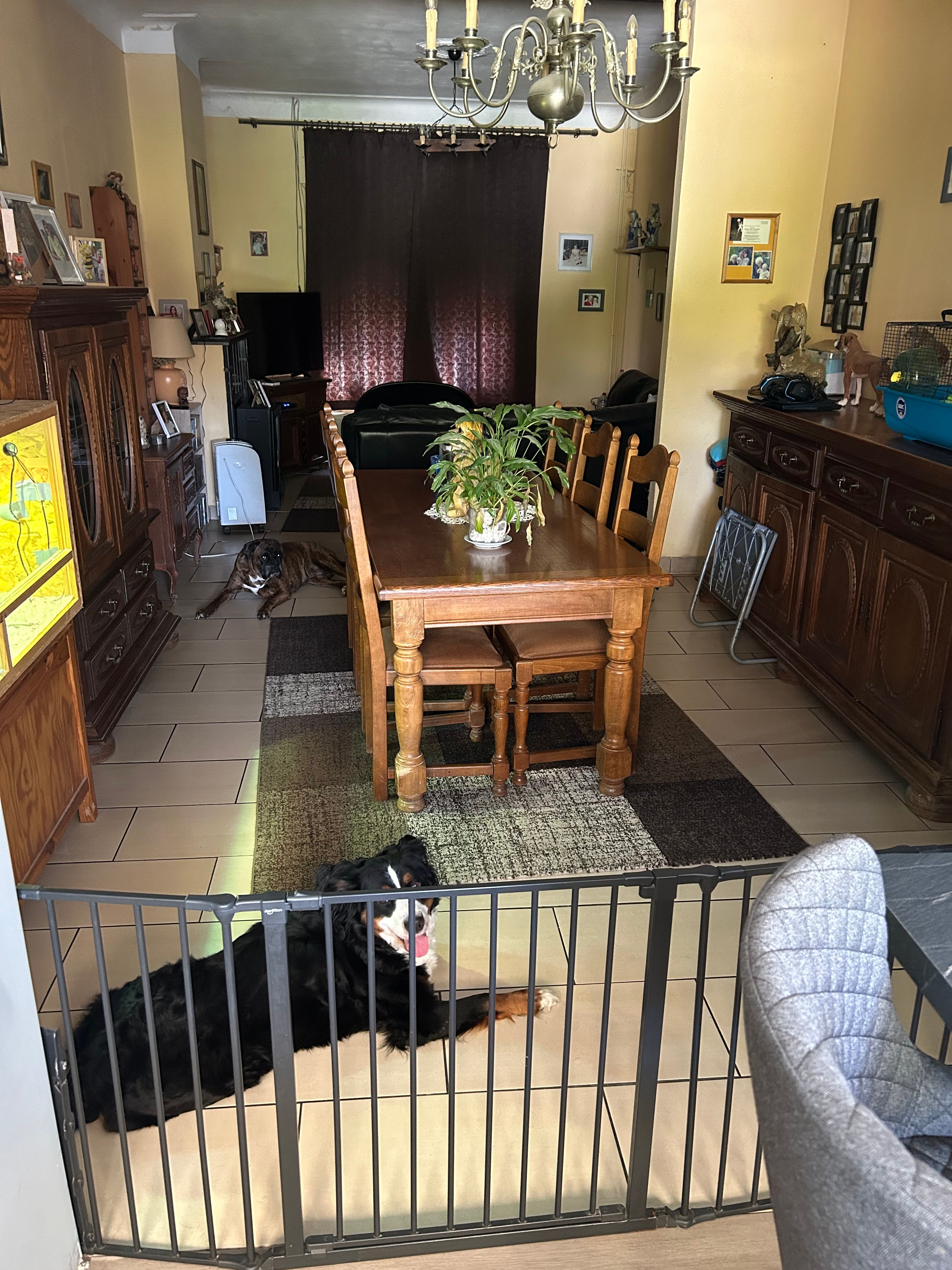 image-17