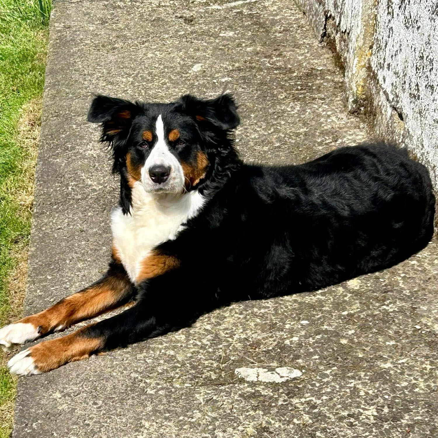 Luna