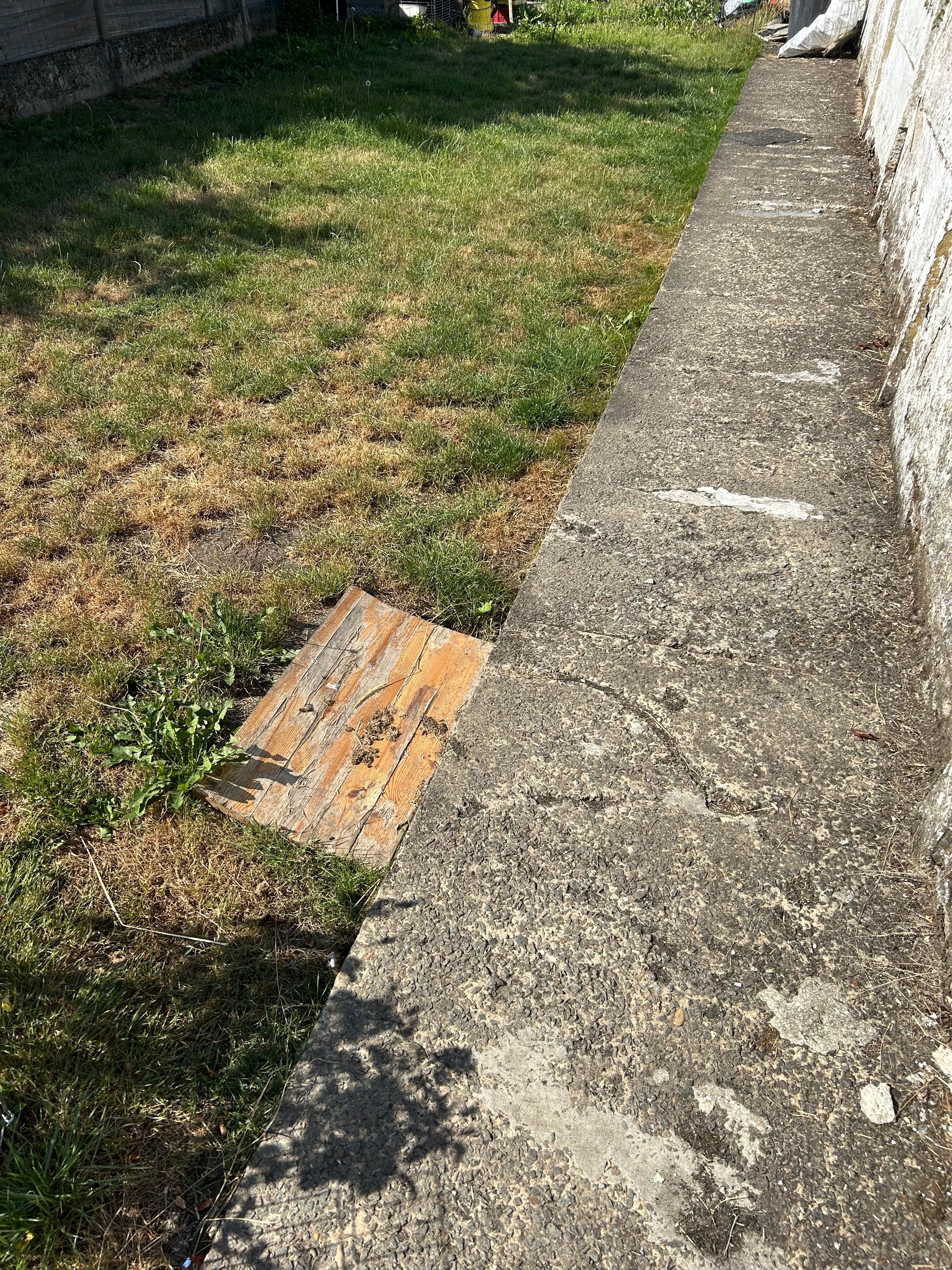 image-16