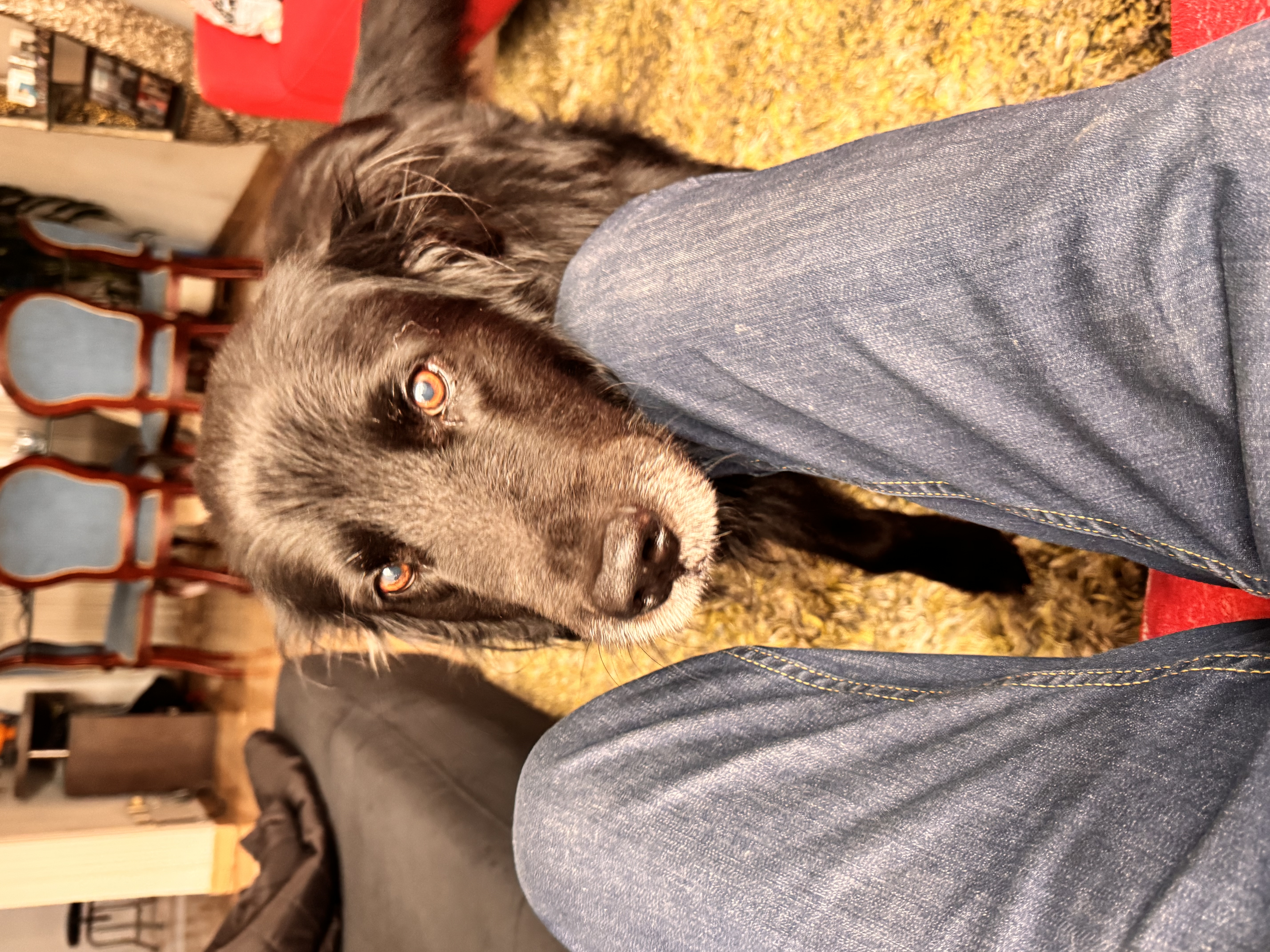 image-6