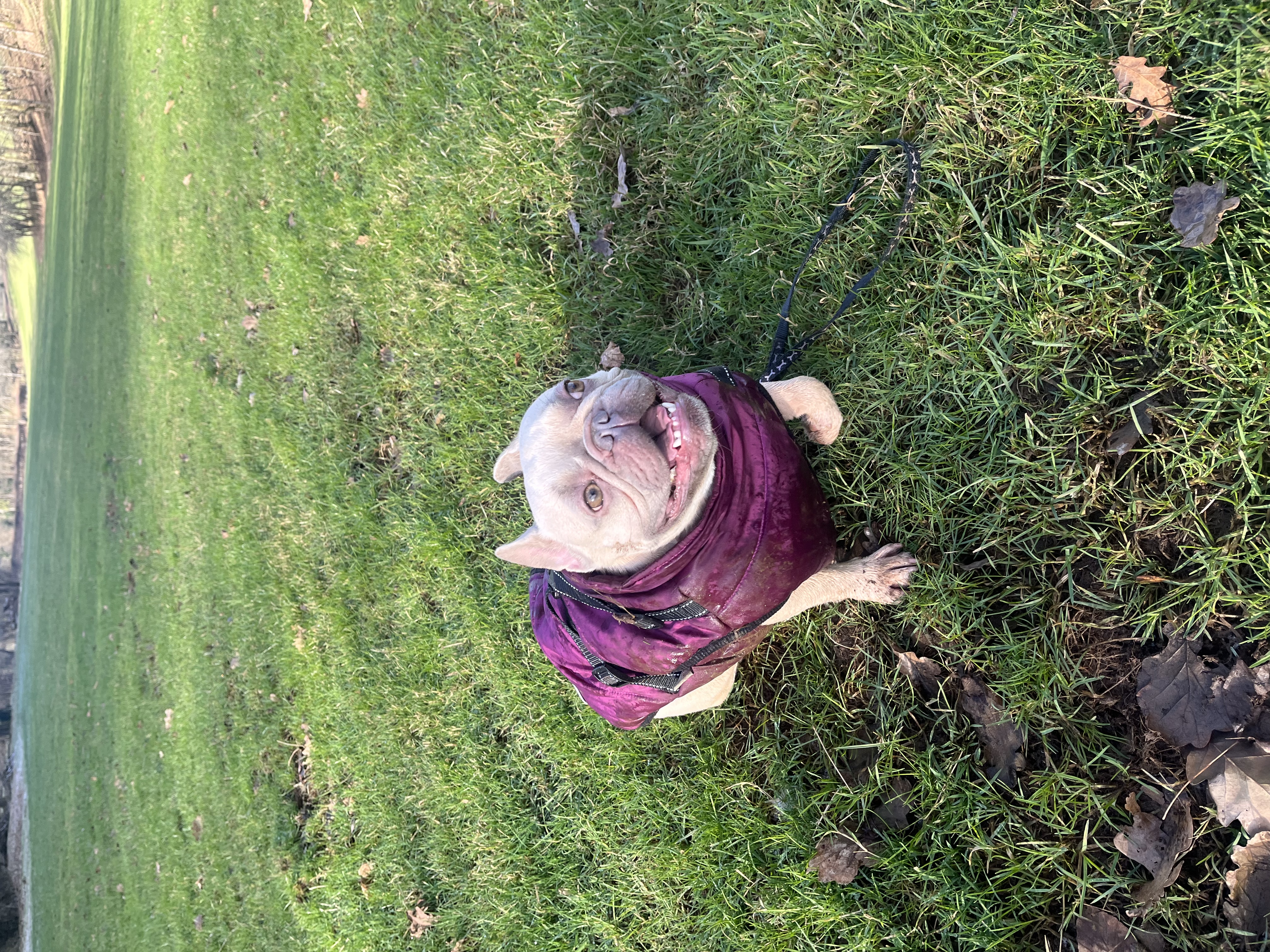 image-1