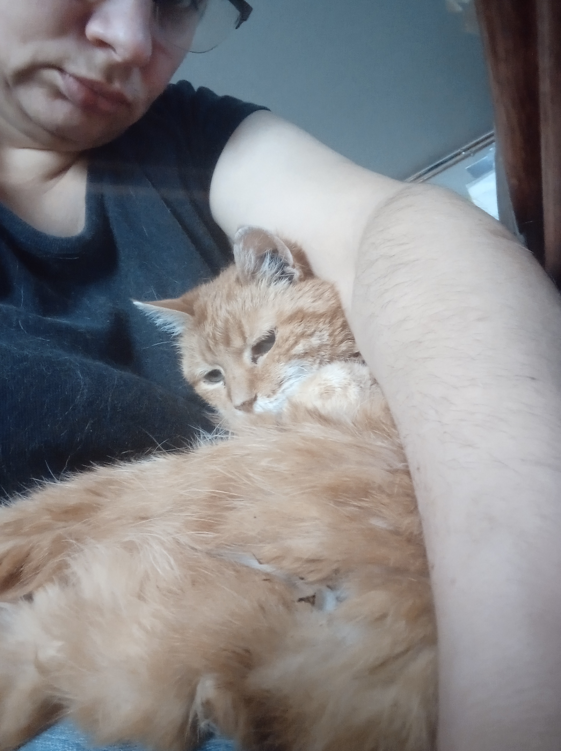 image-9