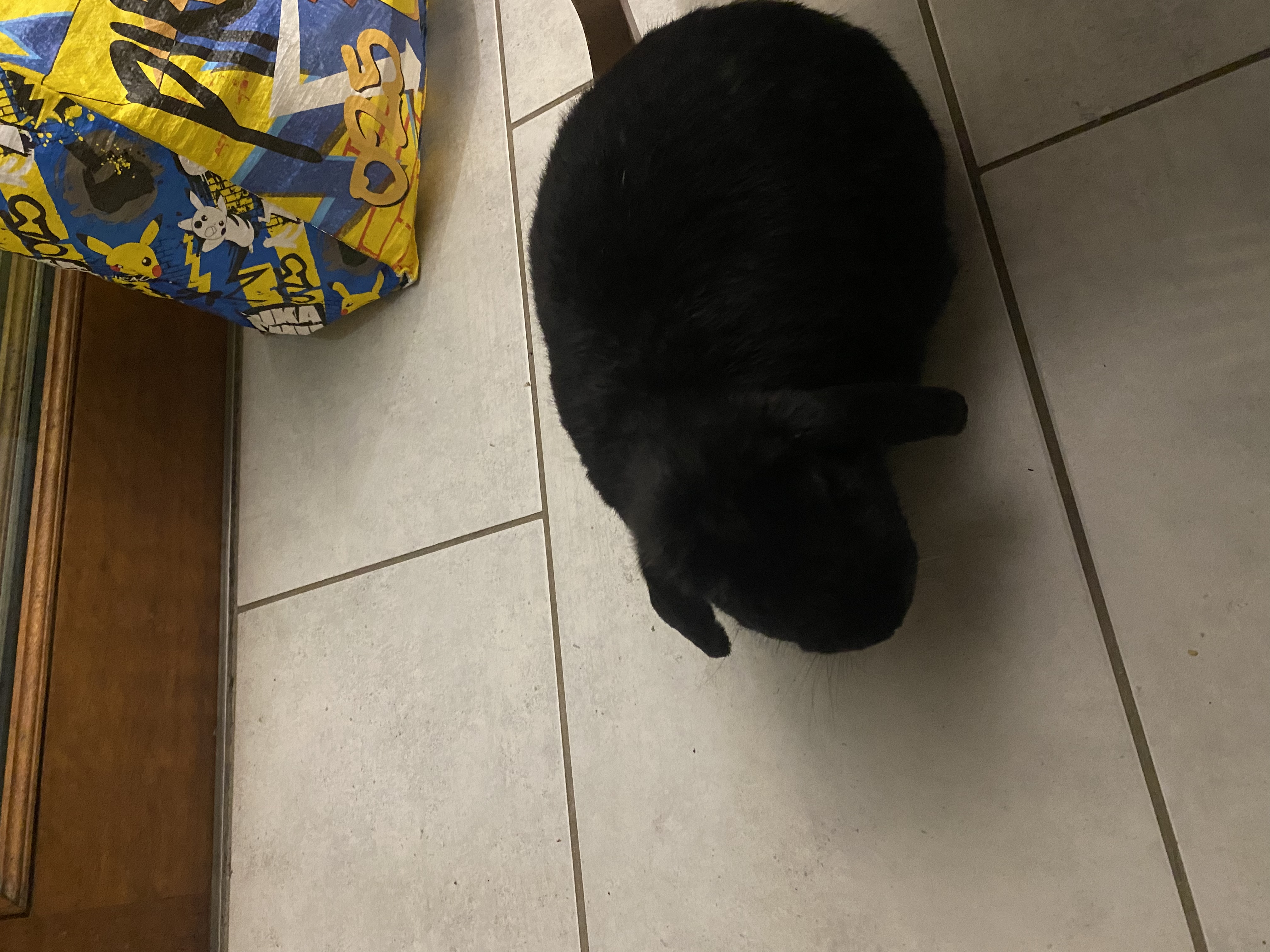 image-7