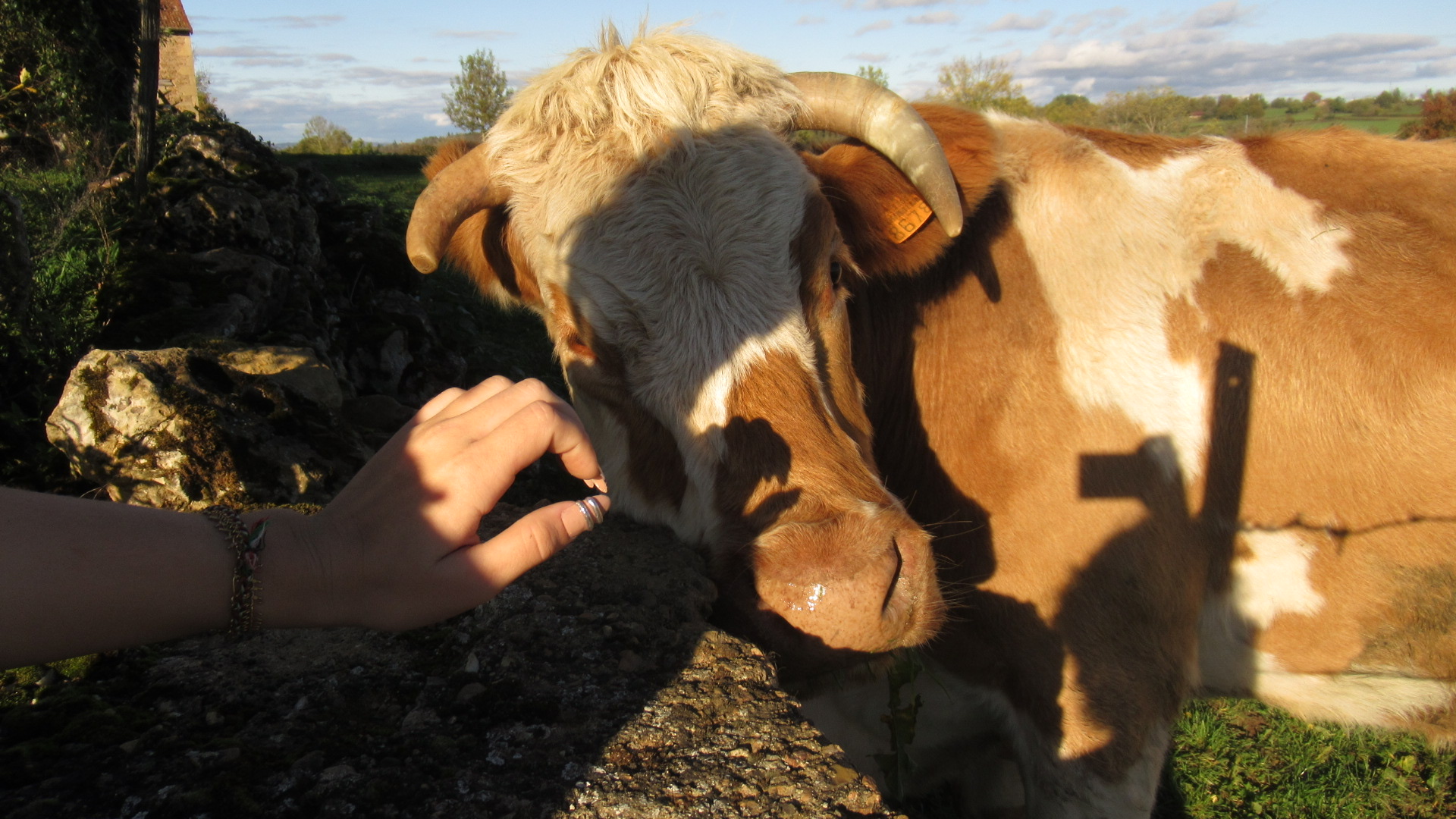 image-9