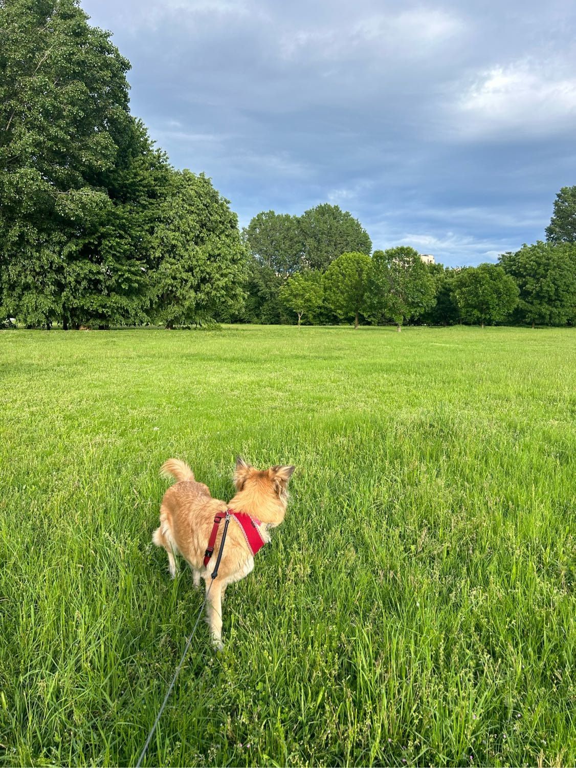 image-14