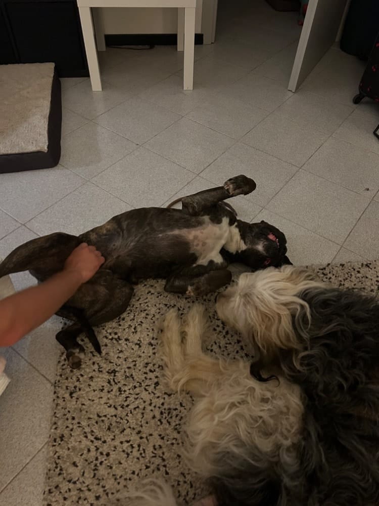image-8