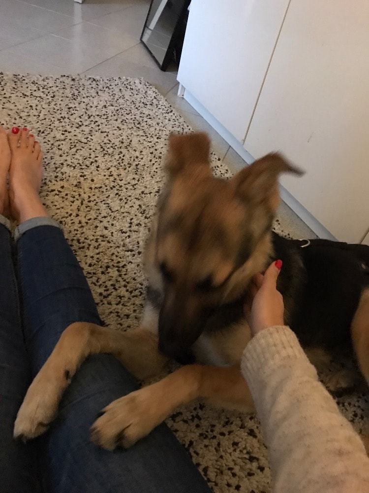 image-6