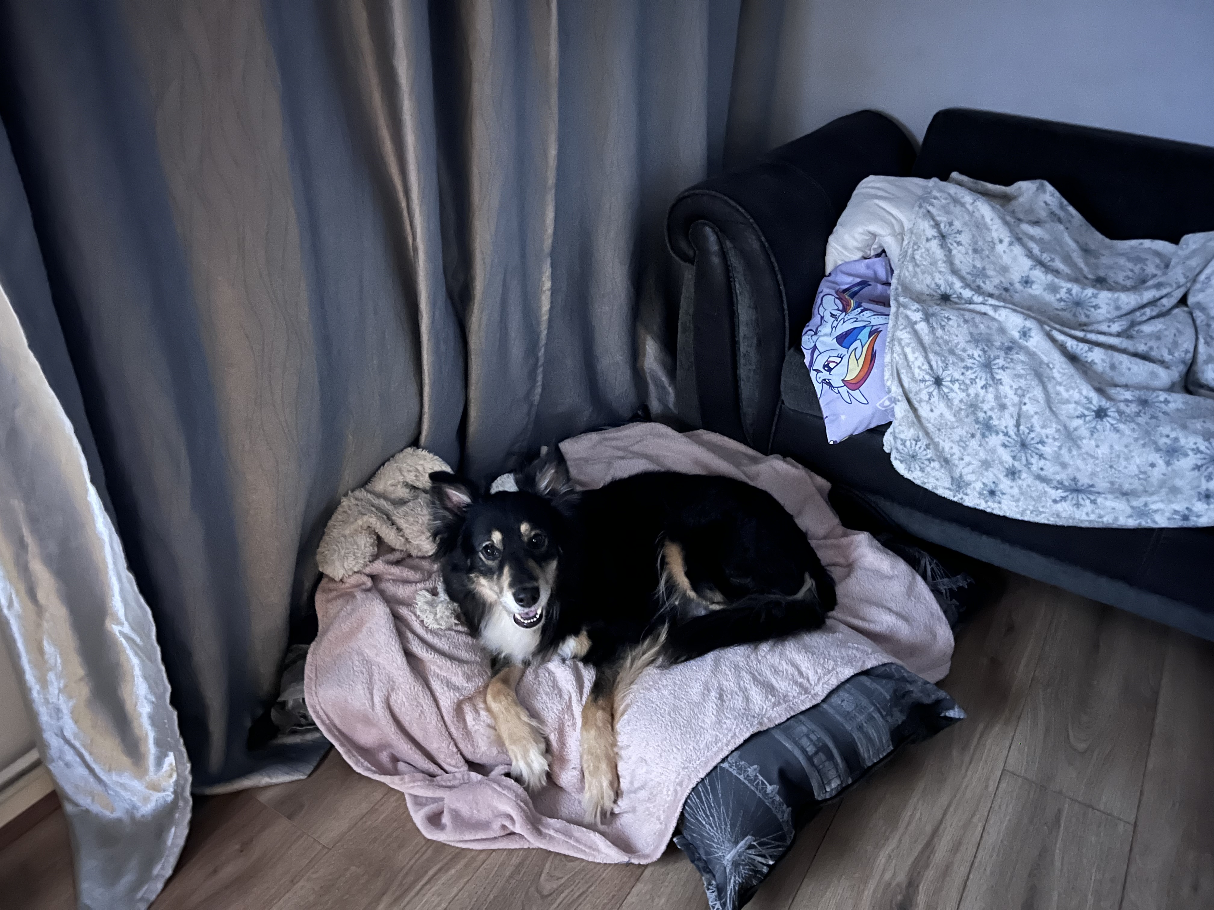 image-12