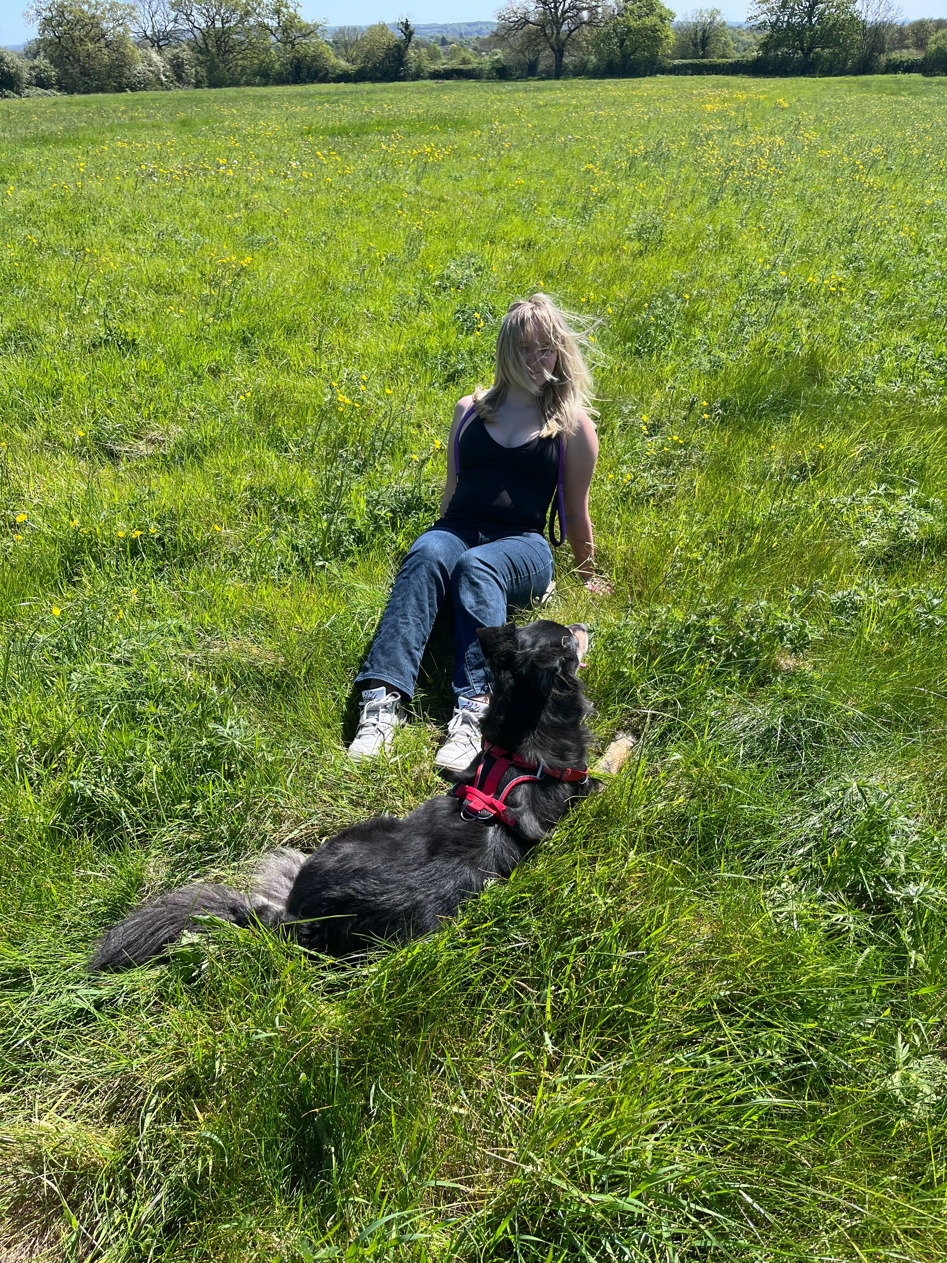 image-7