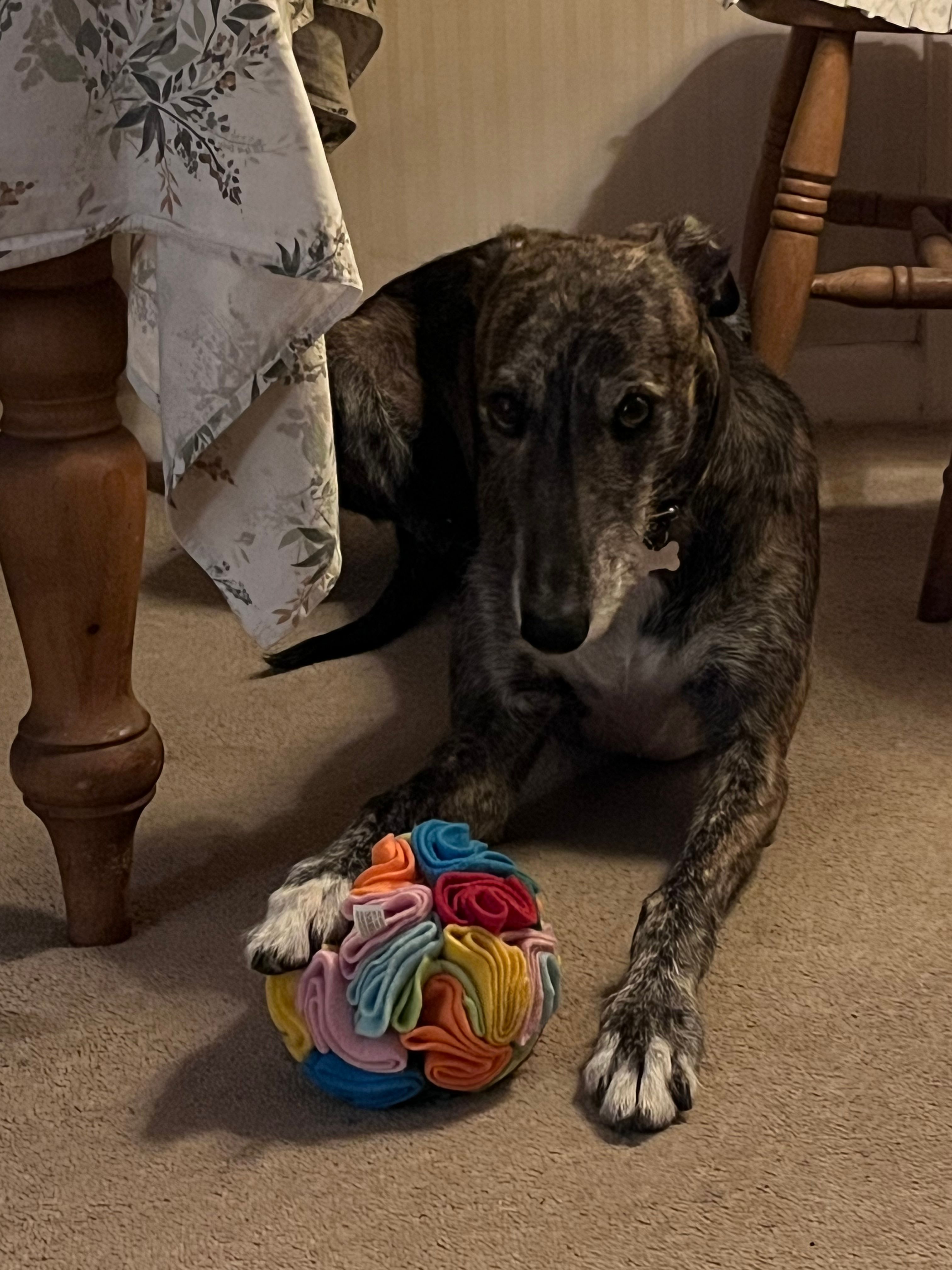 image-12