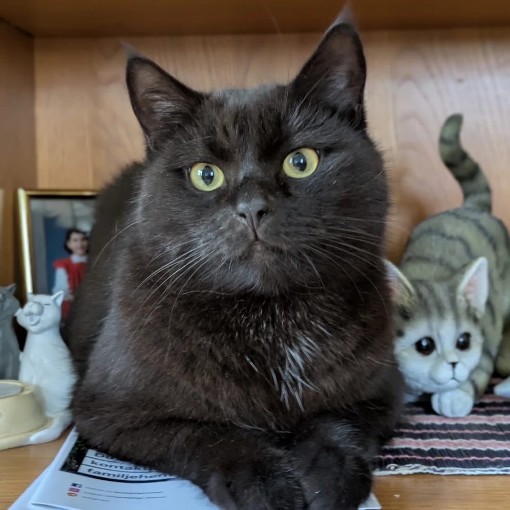 Felix