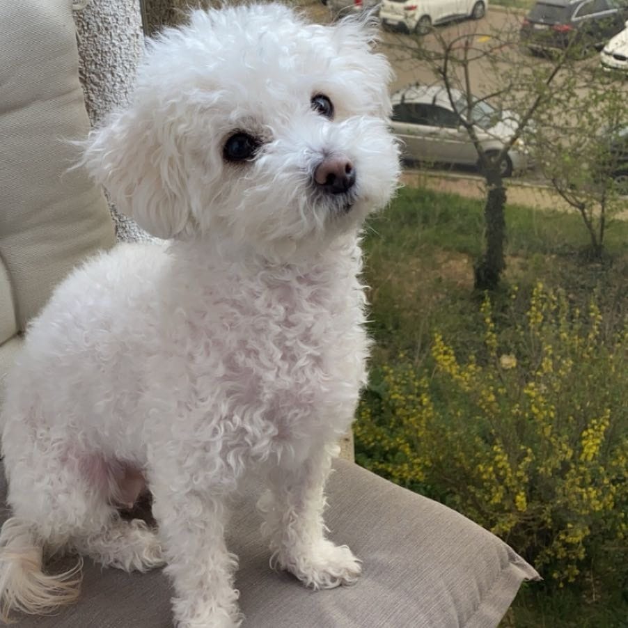 Sasha