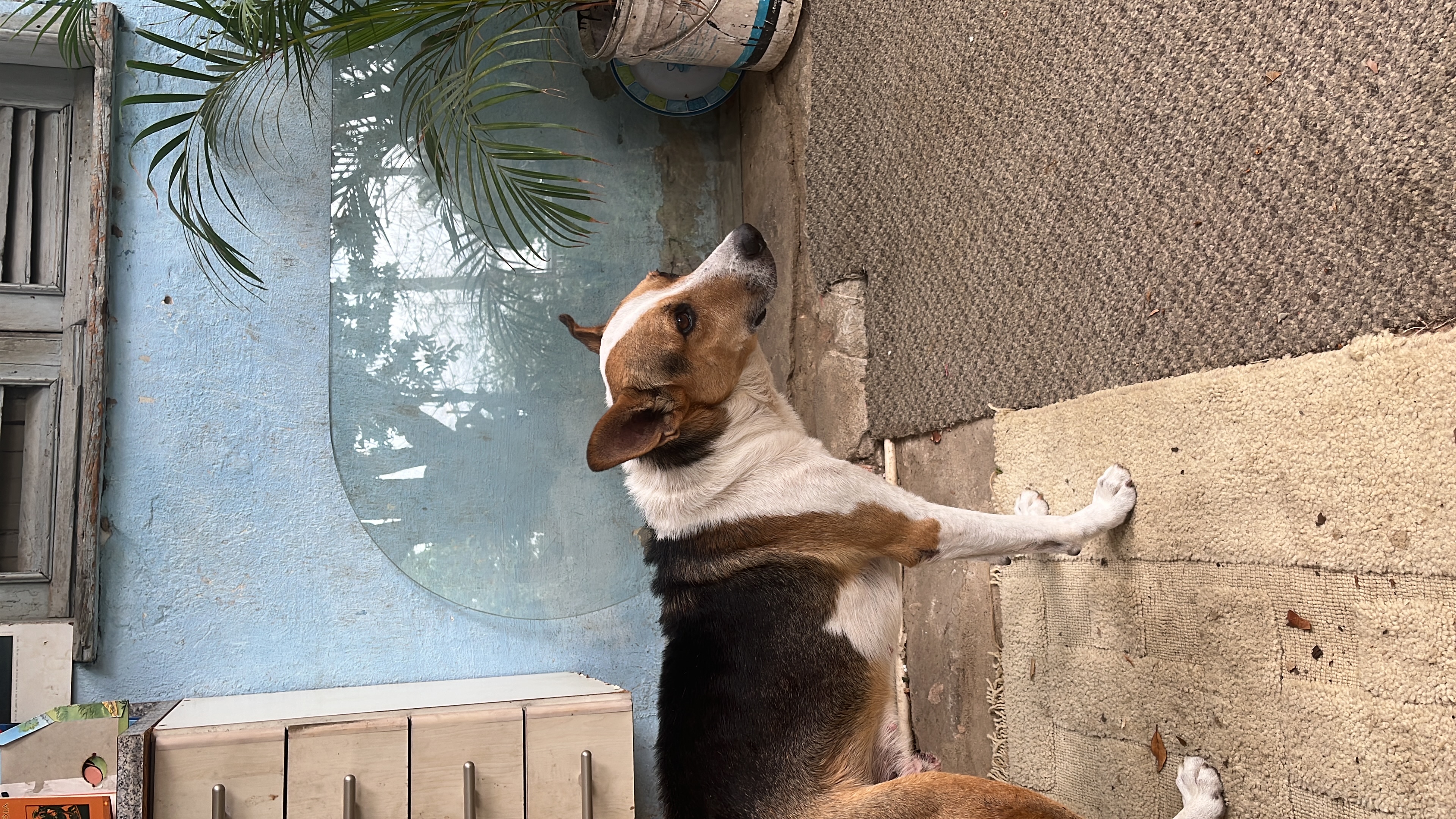 image-6