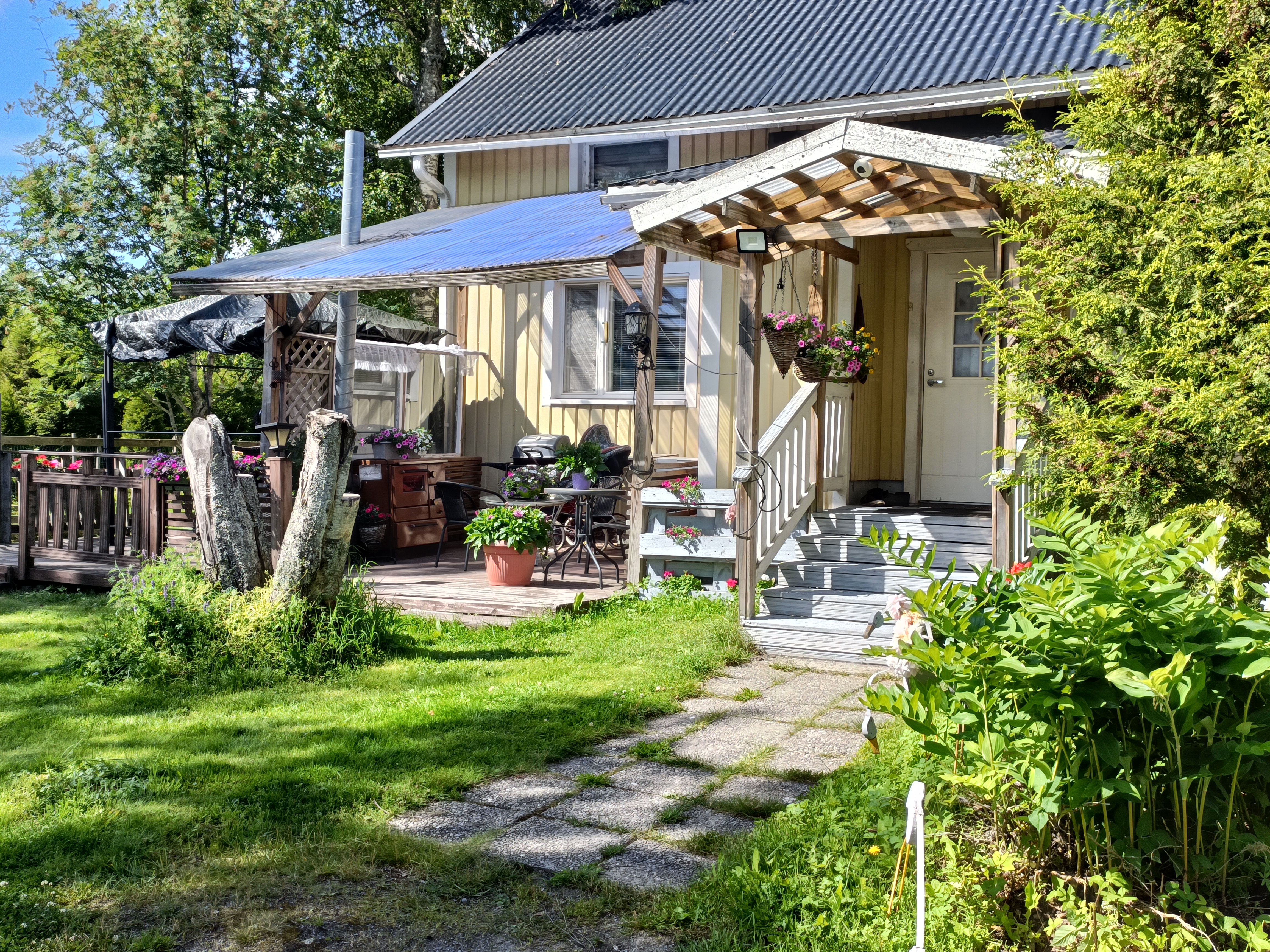 image-7