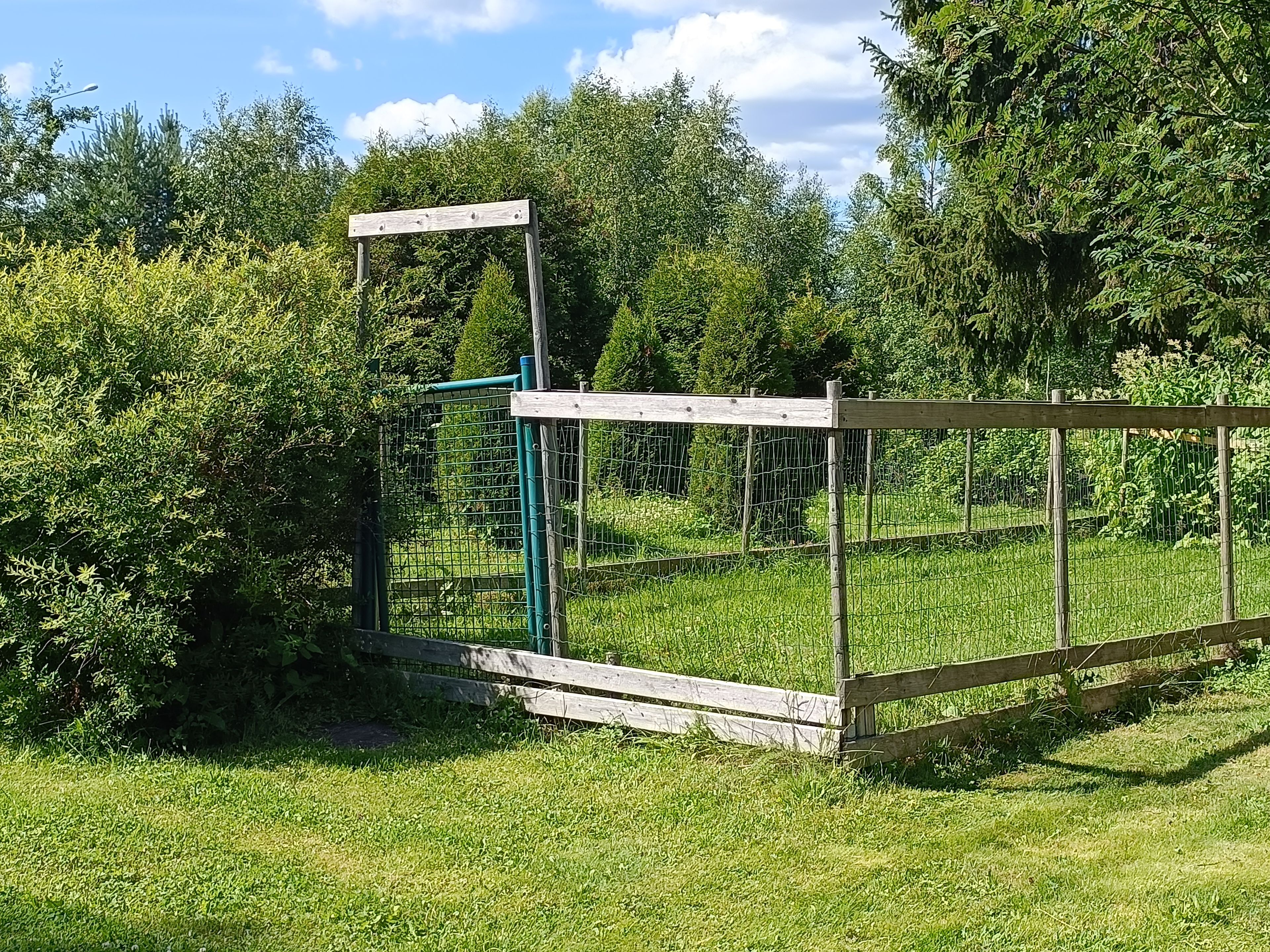 image-8