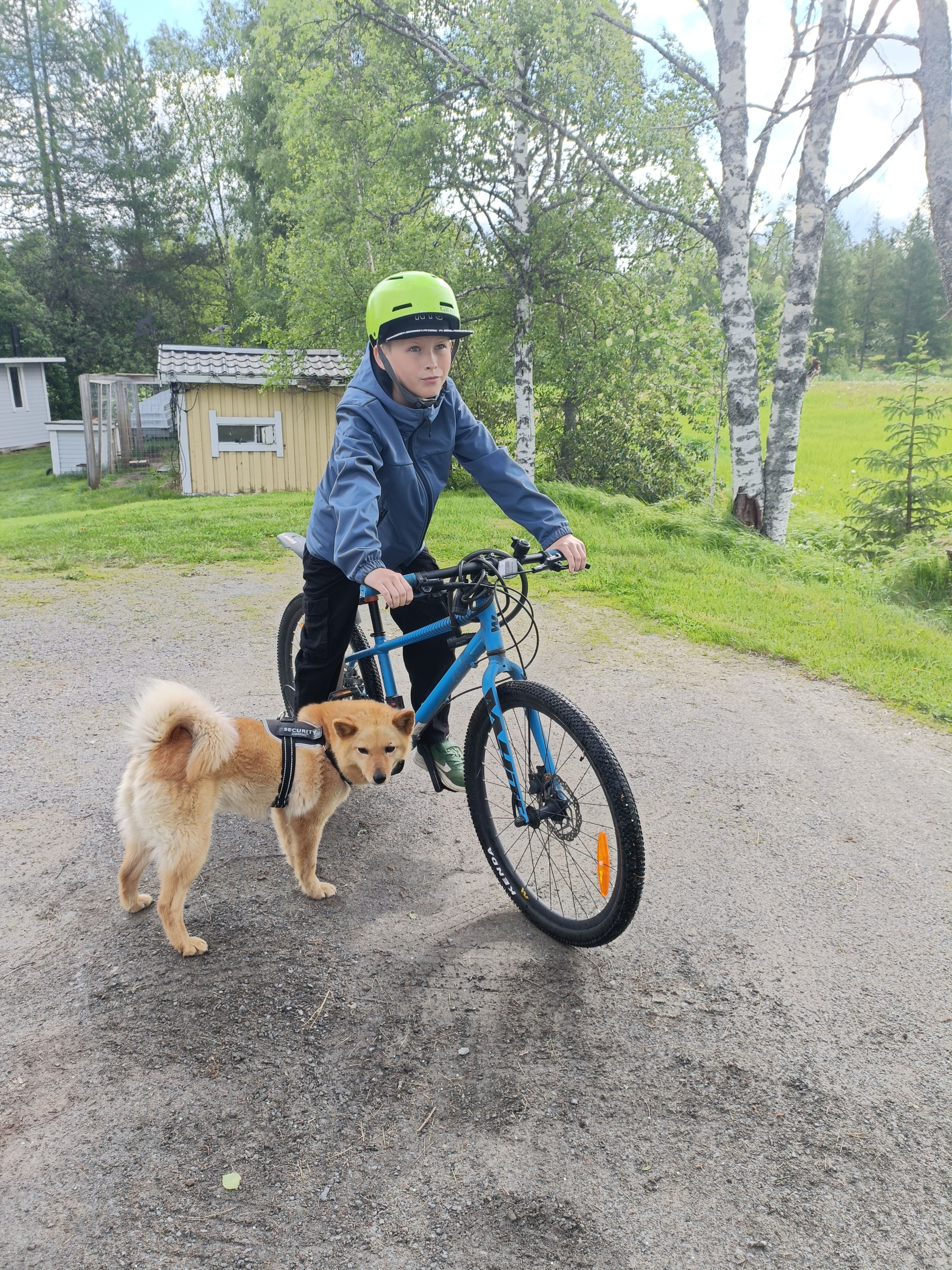 image-20