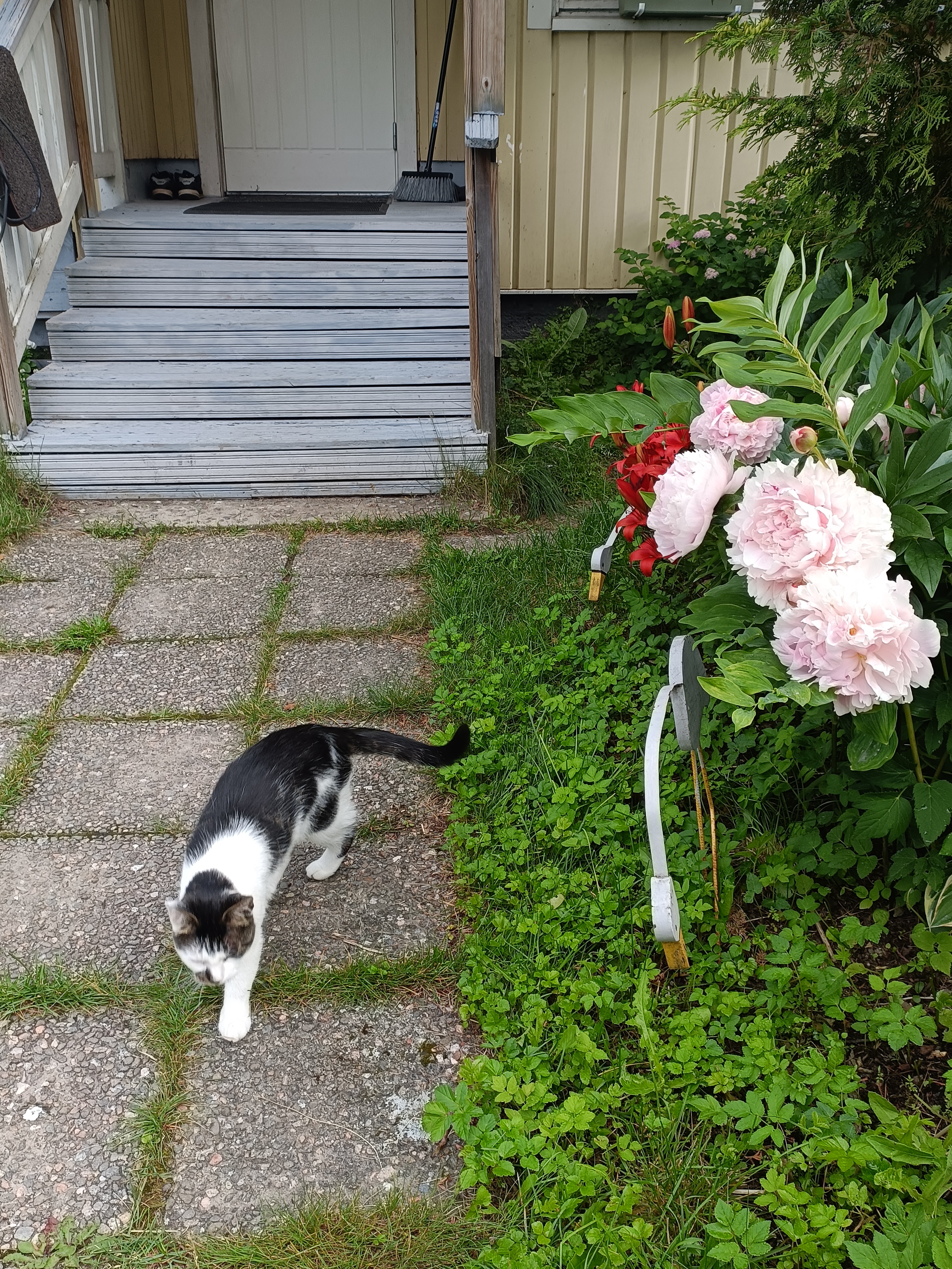 image-19
