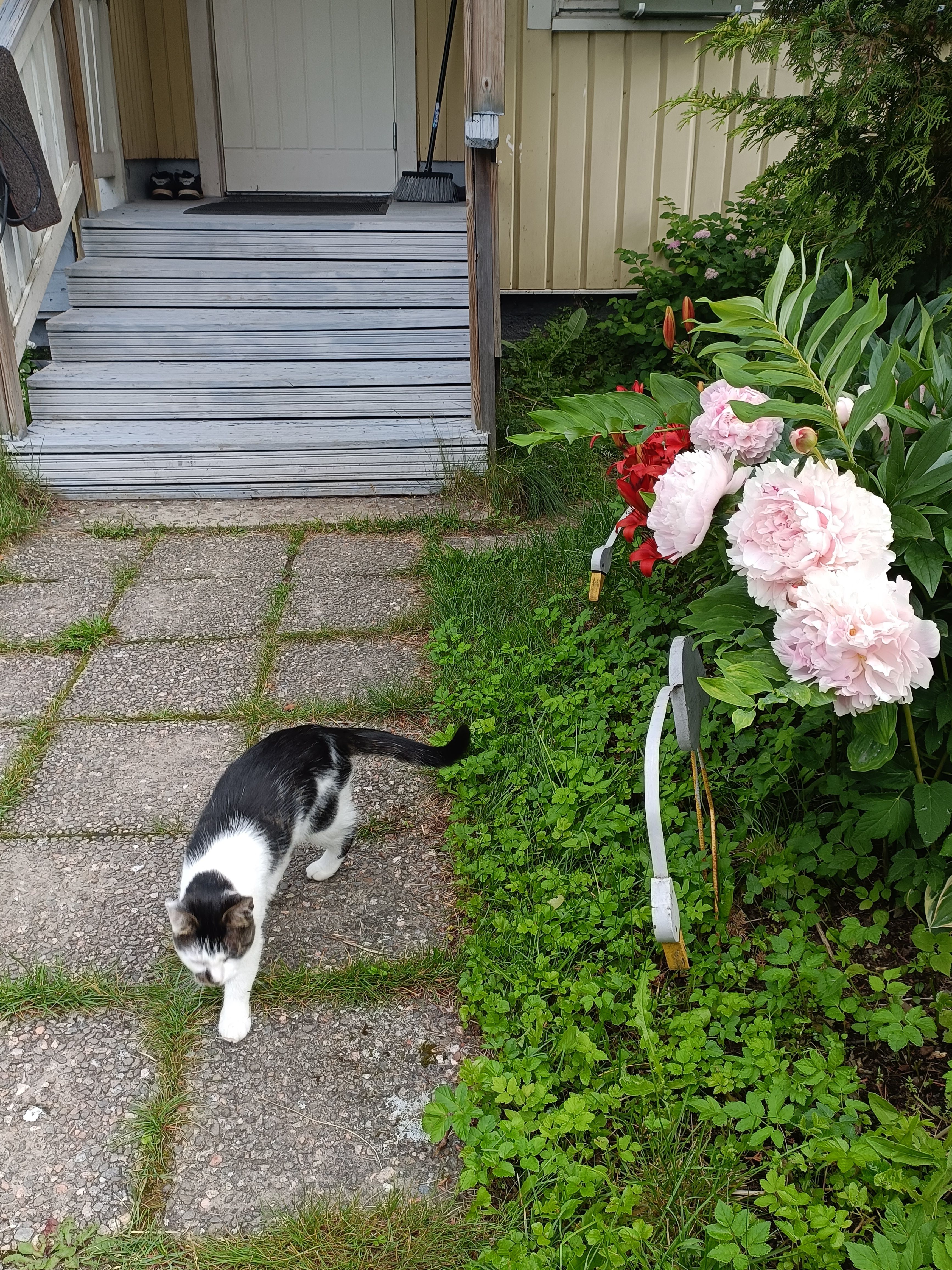 image-19